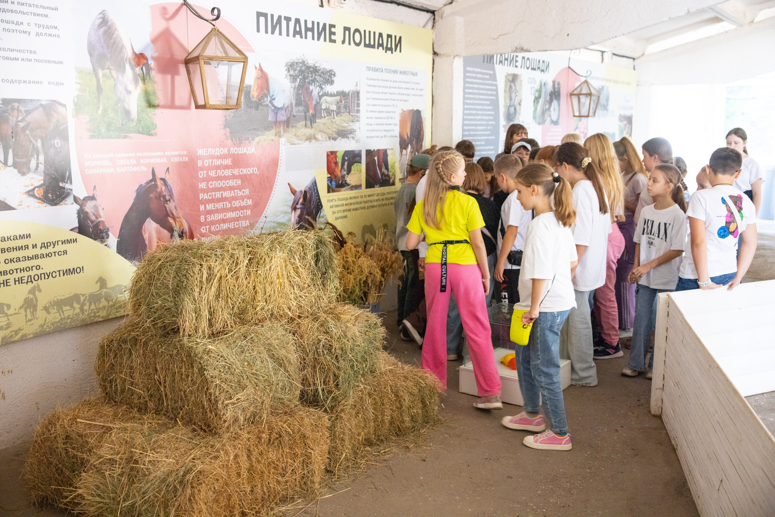 Поездка на поле Кулеково. Фотограф в Туле Крупский АнДРей. Фотостудия «КАДР71» в Туле