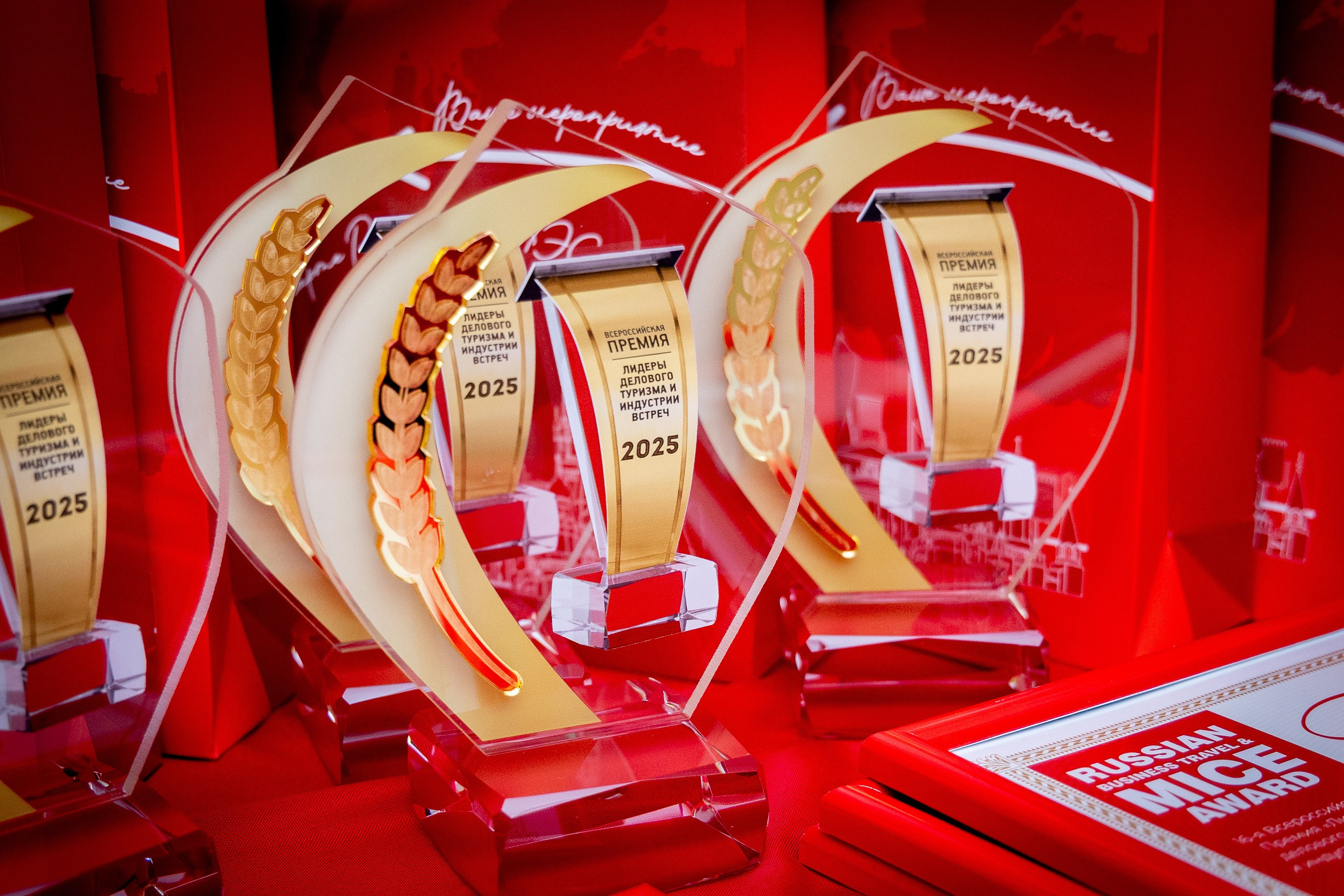 Incentives. Фотограф в MICE Дмитрий Плисов