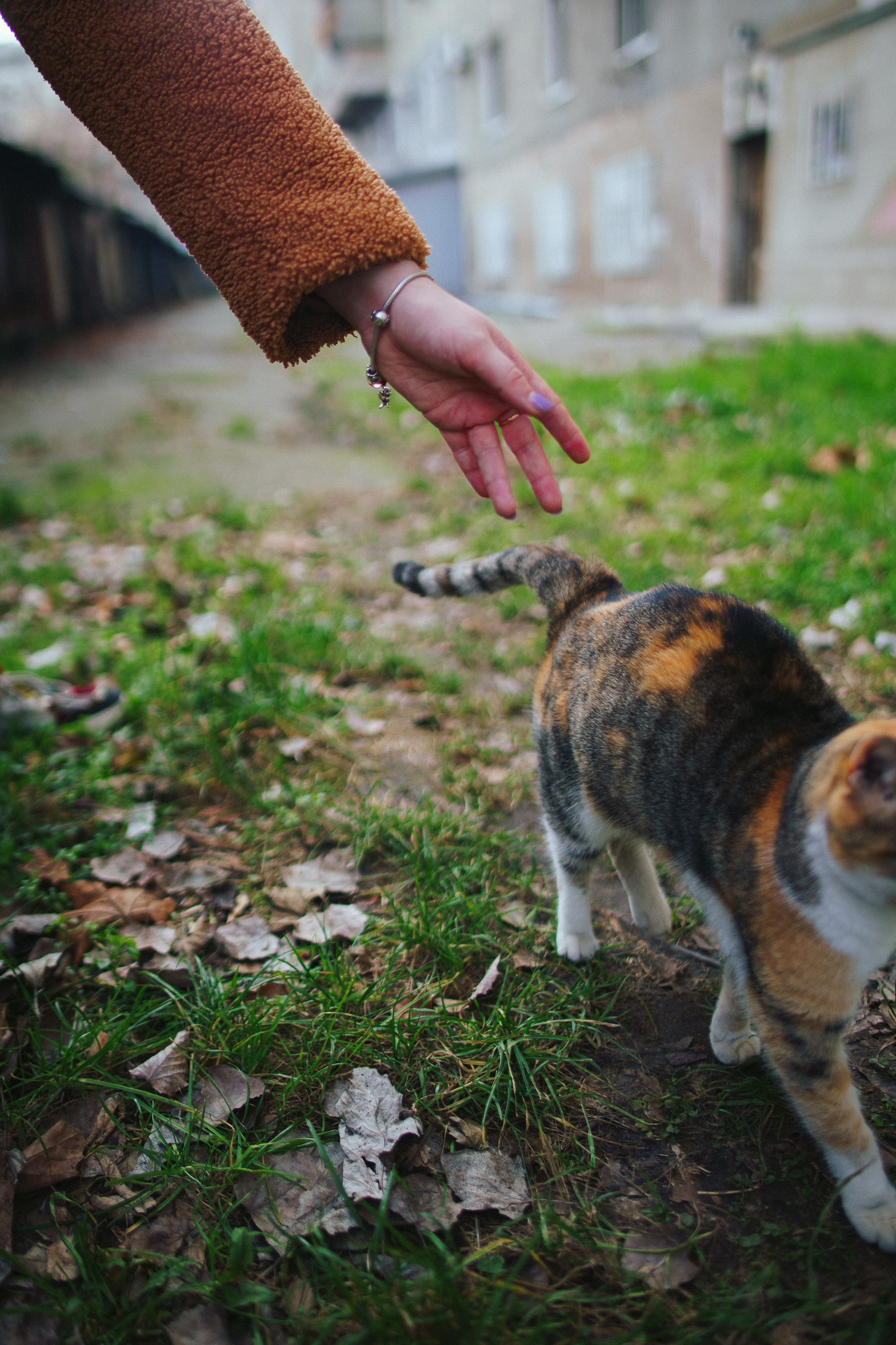 Urban and Street. Oleg Kozachok — Photographer with Protanopia | Portraits, Texture & Light