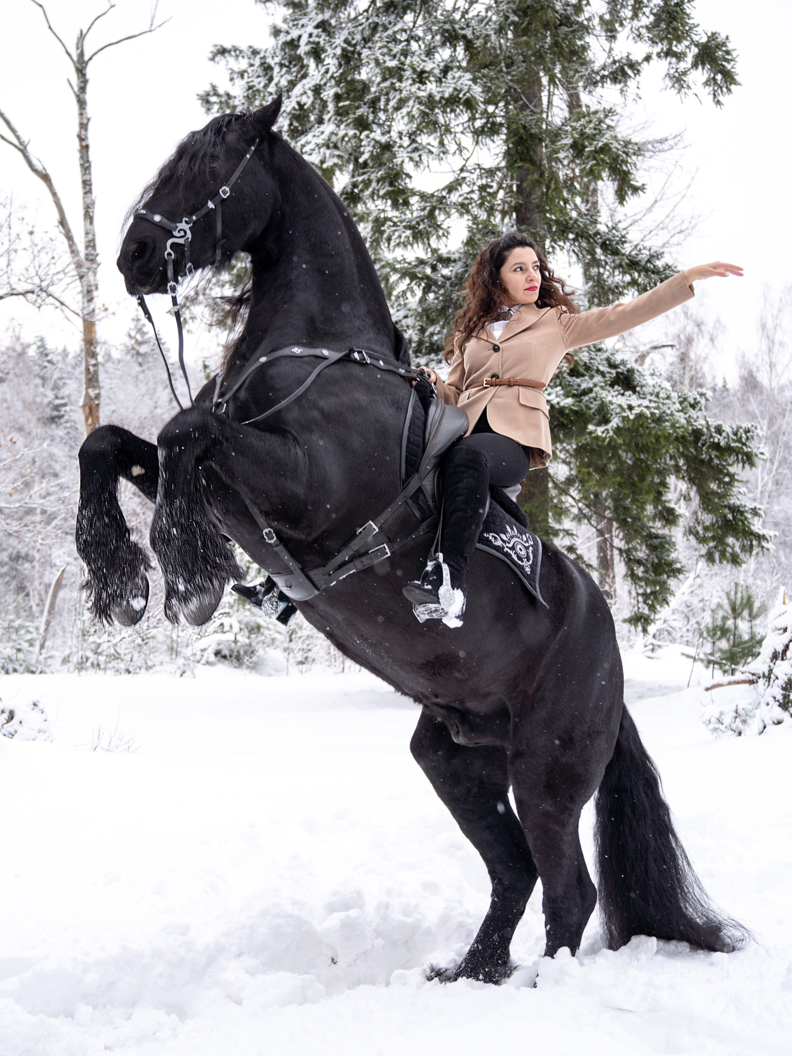Лошадки зима. Фотограф Зинаида Евдокимова