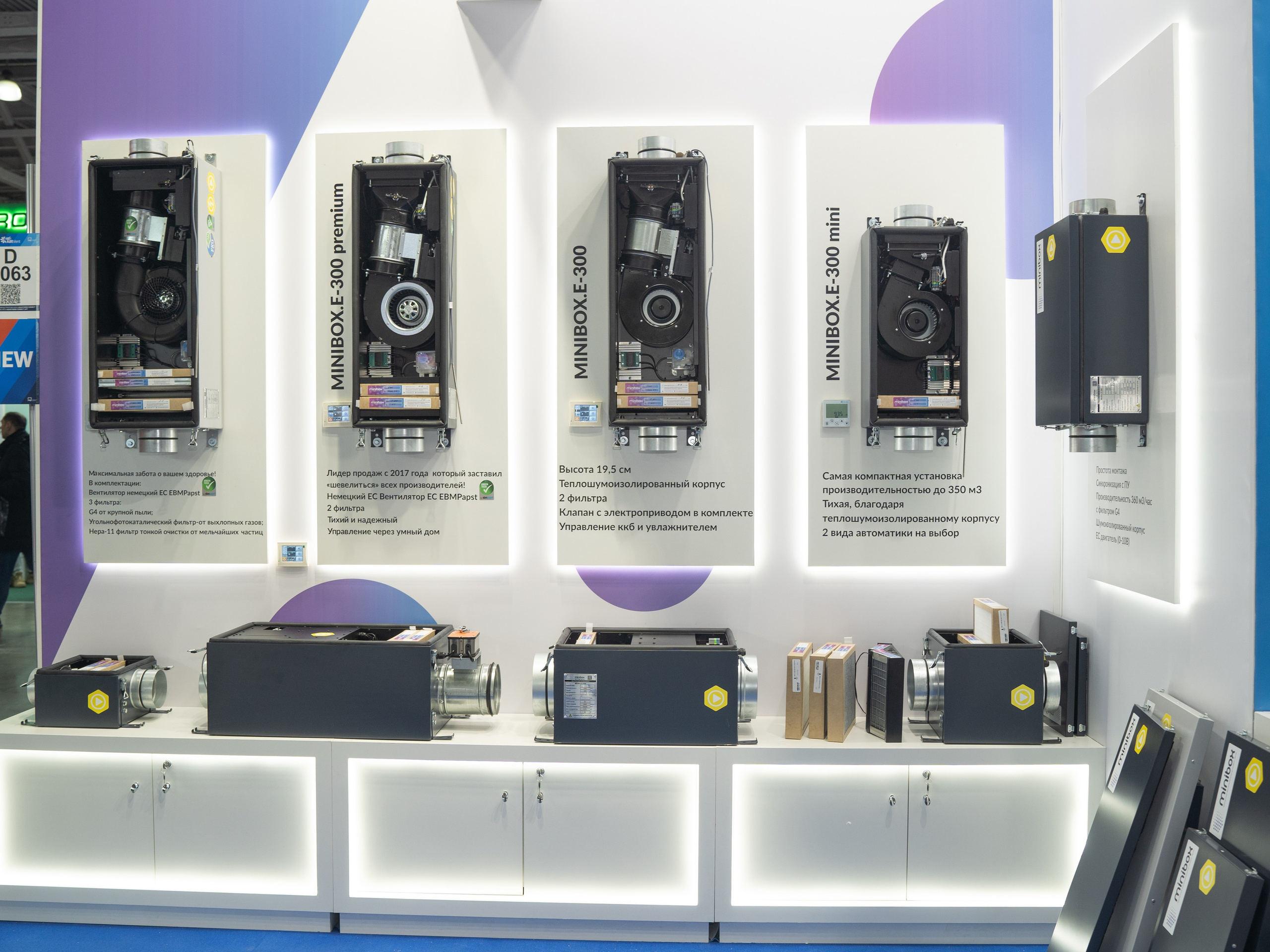 Крокус Вентиляция. Фотограф Зинаида Евдокимова