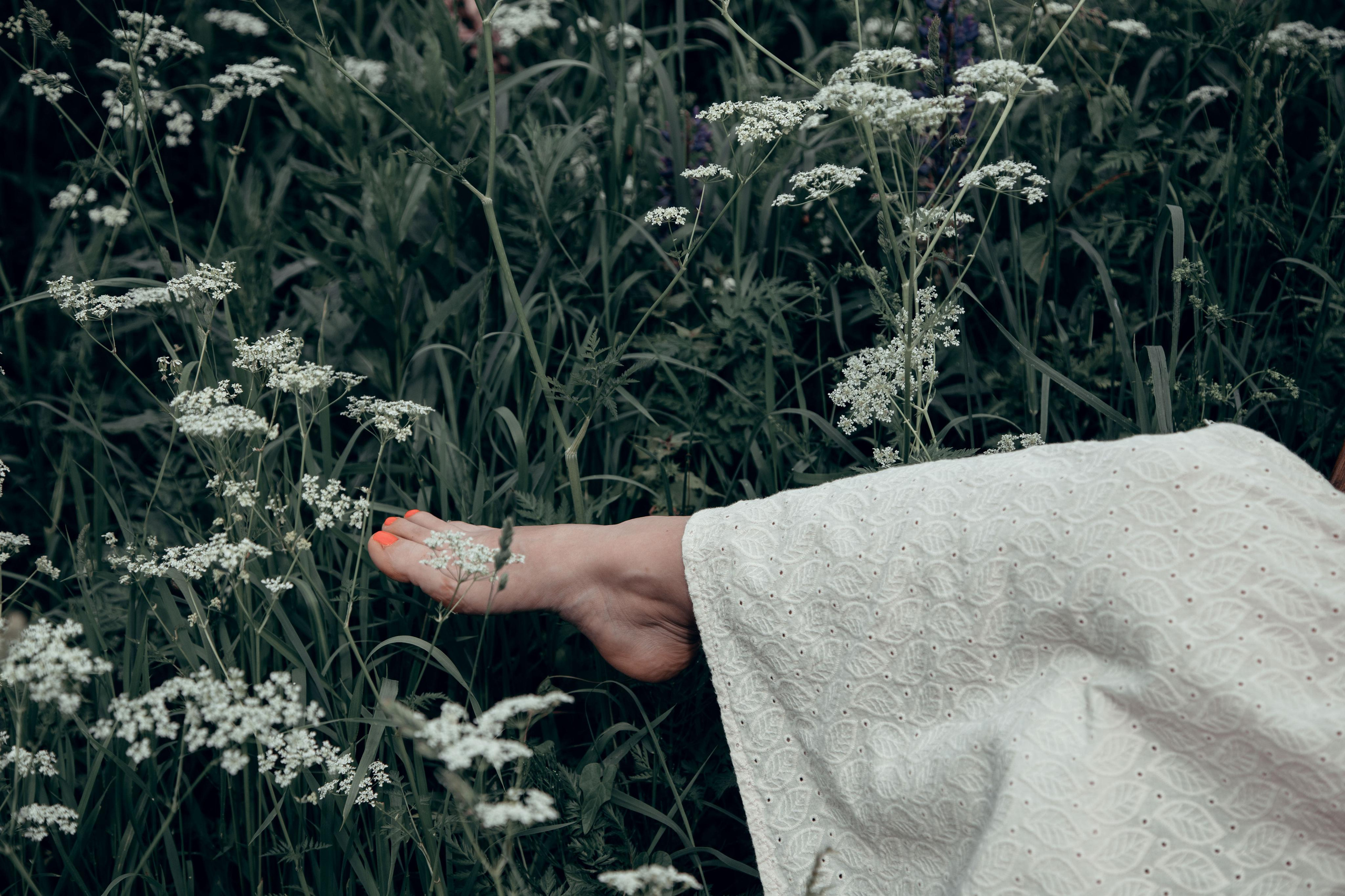 Lupins empowers beauty. Home