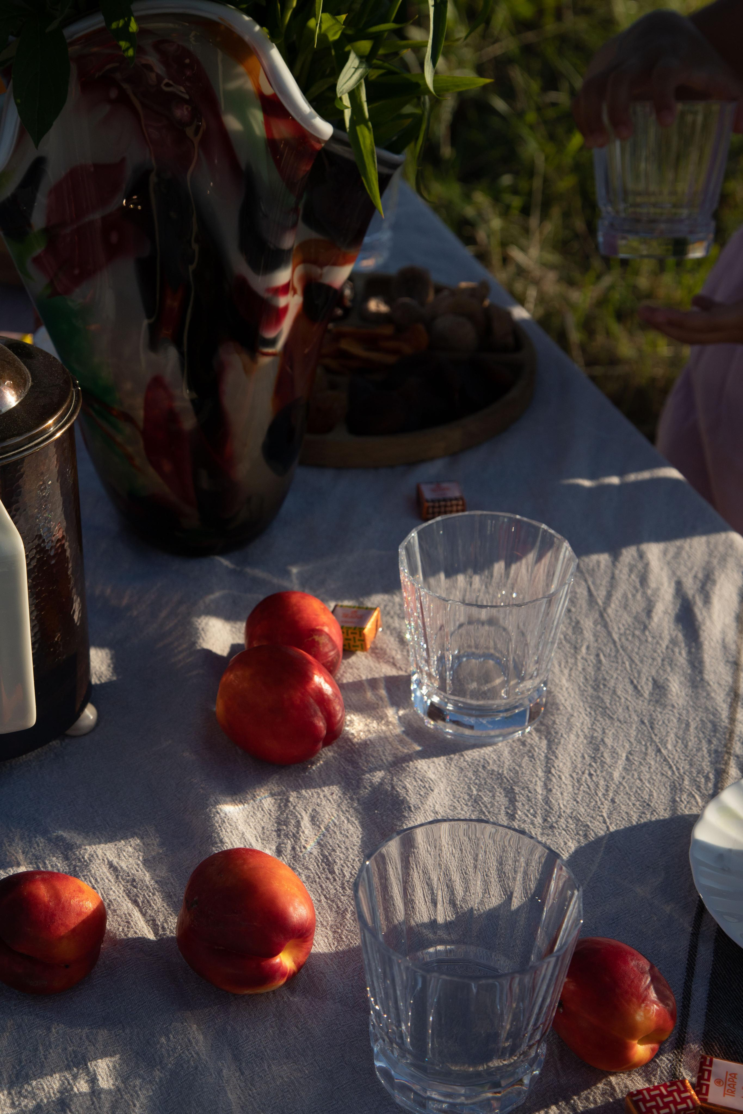 Family dining in the field. Home