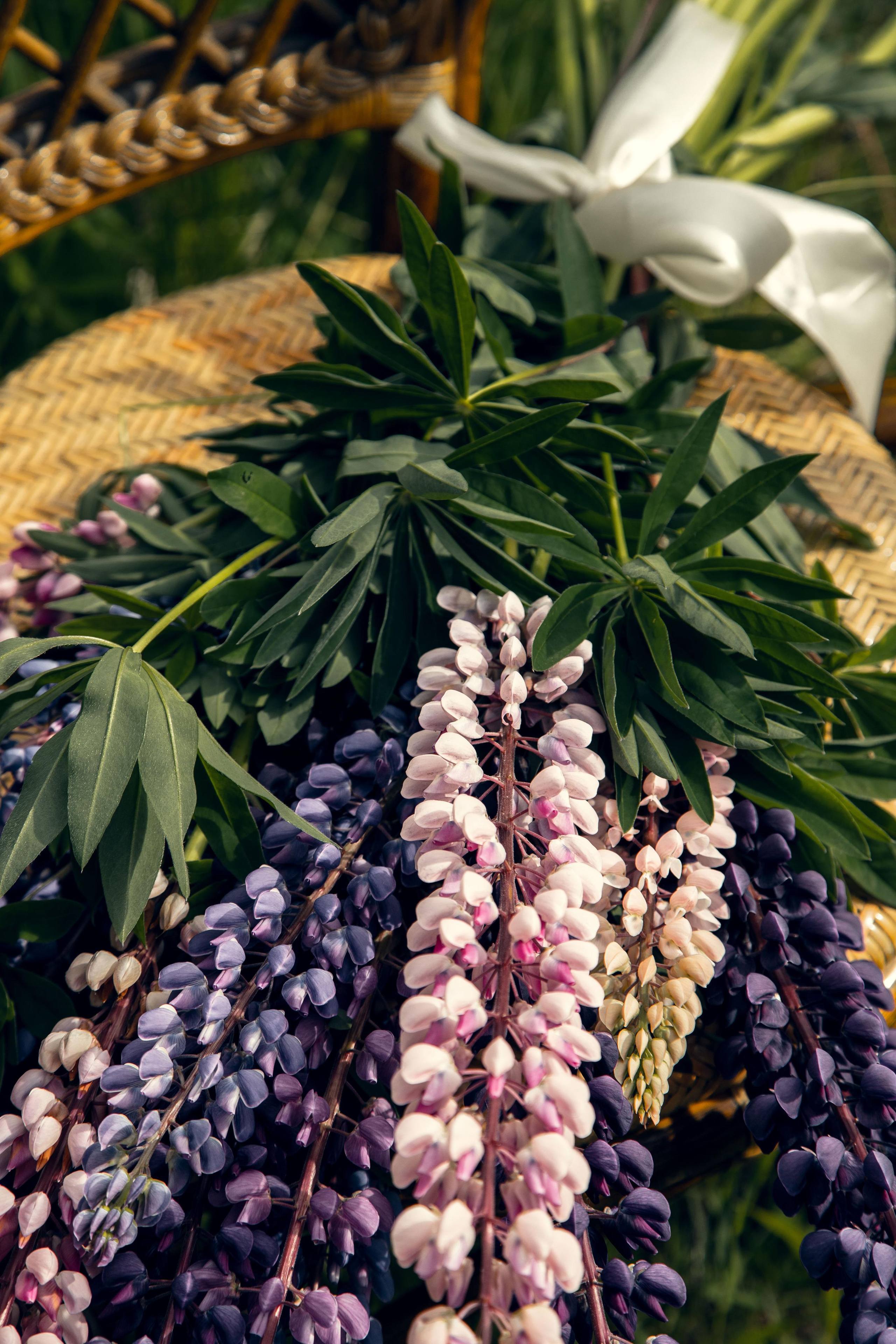Lupins empowers beauty. Home