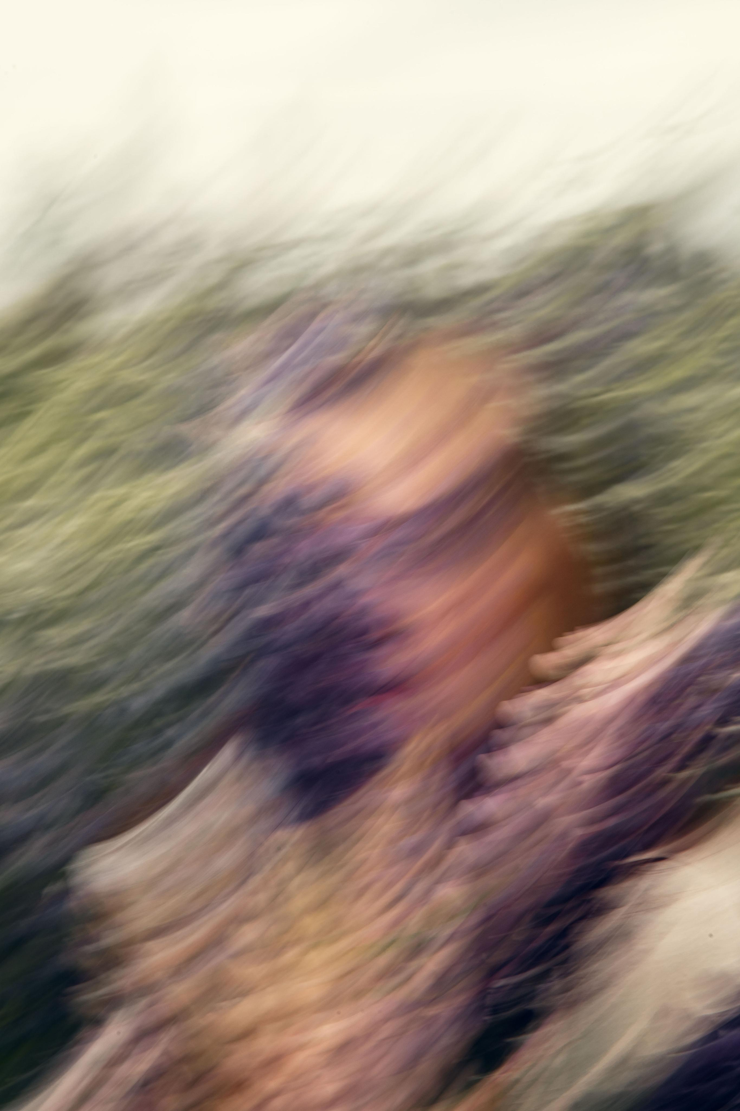 Lupins empowers beauty. Home