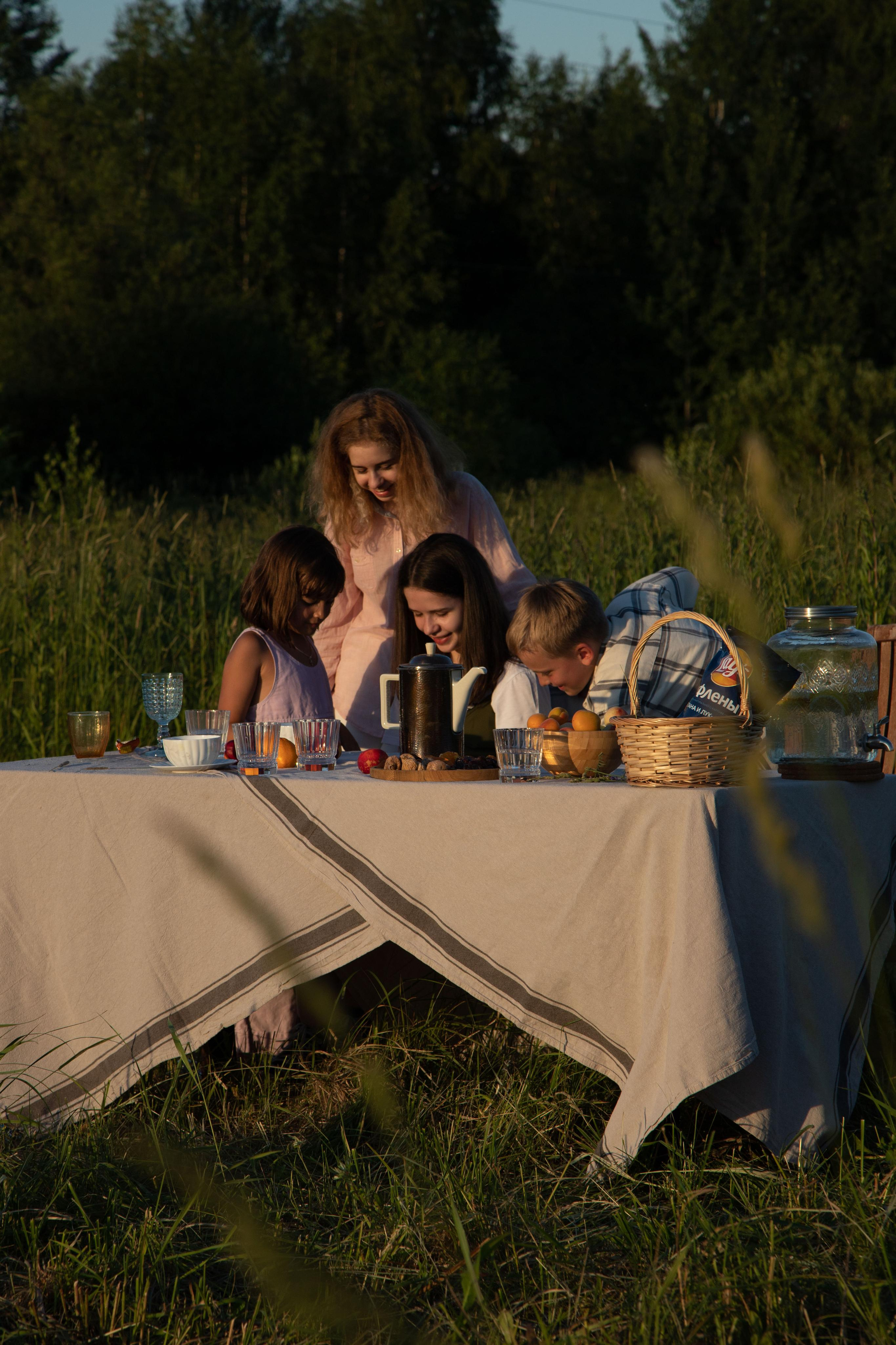 Family dining in the field. Home