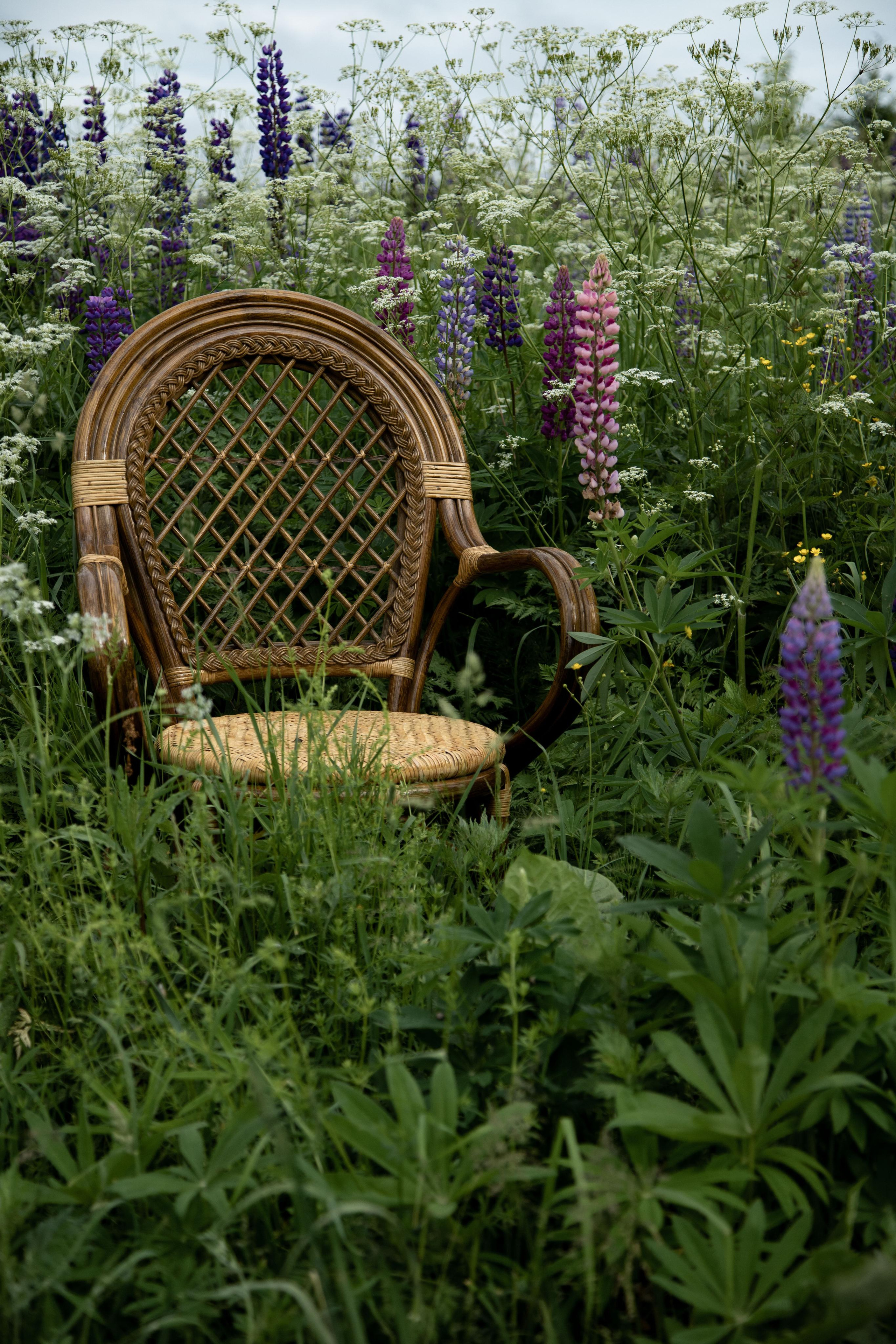 Lupins empowers beauty. Home