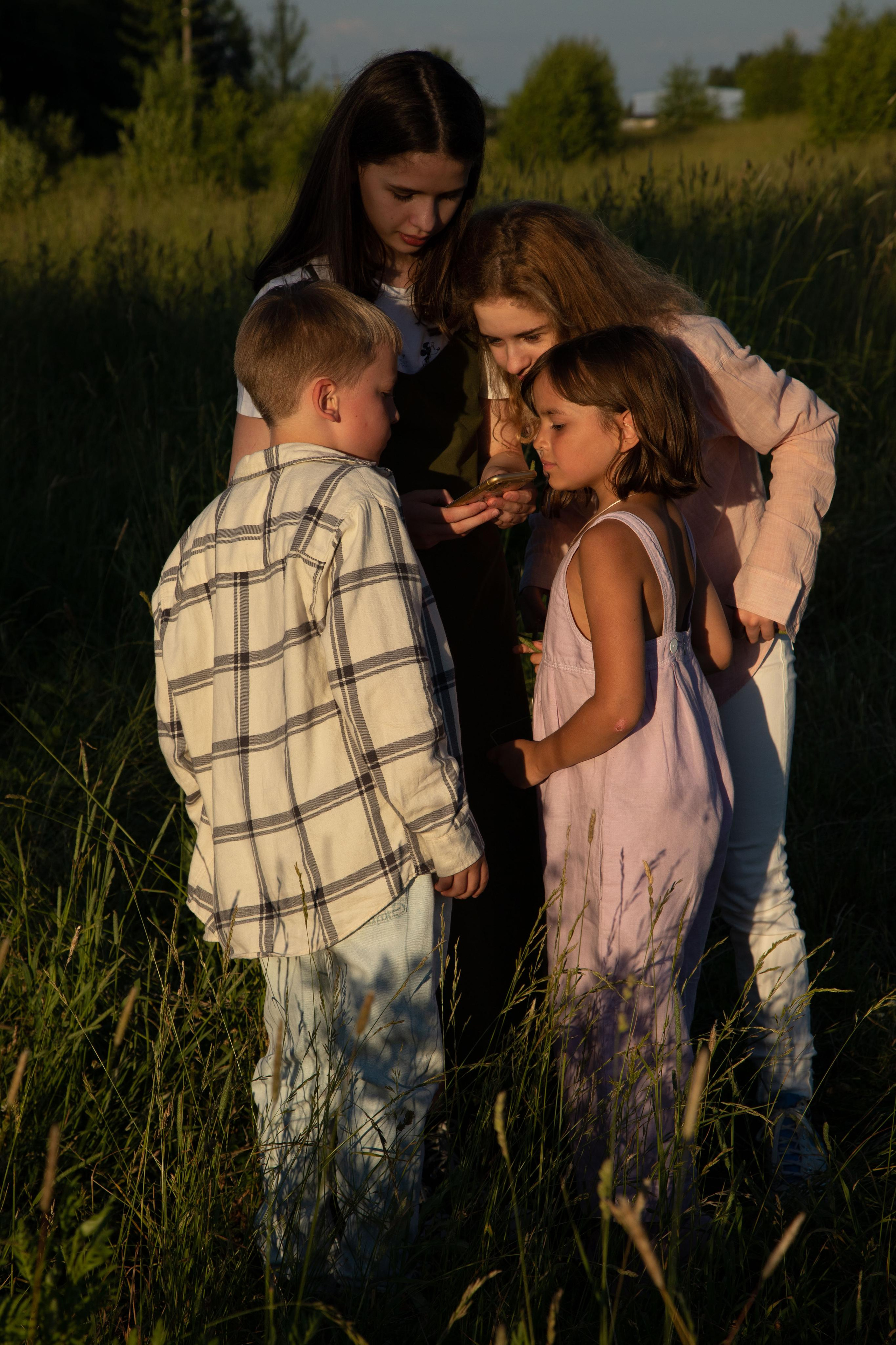 Family dining in the field. Home