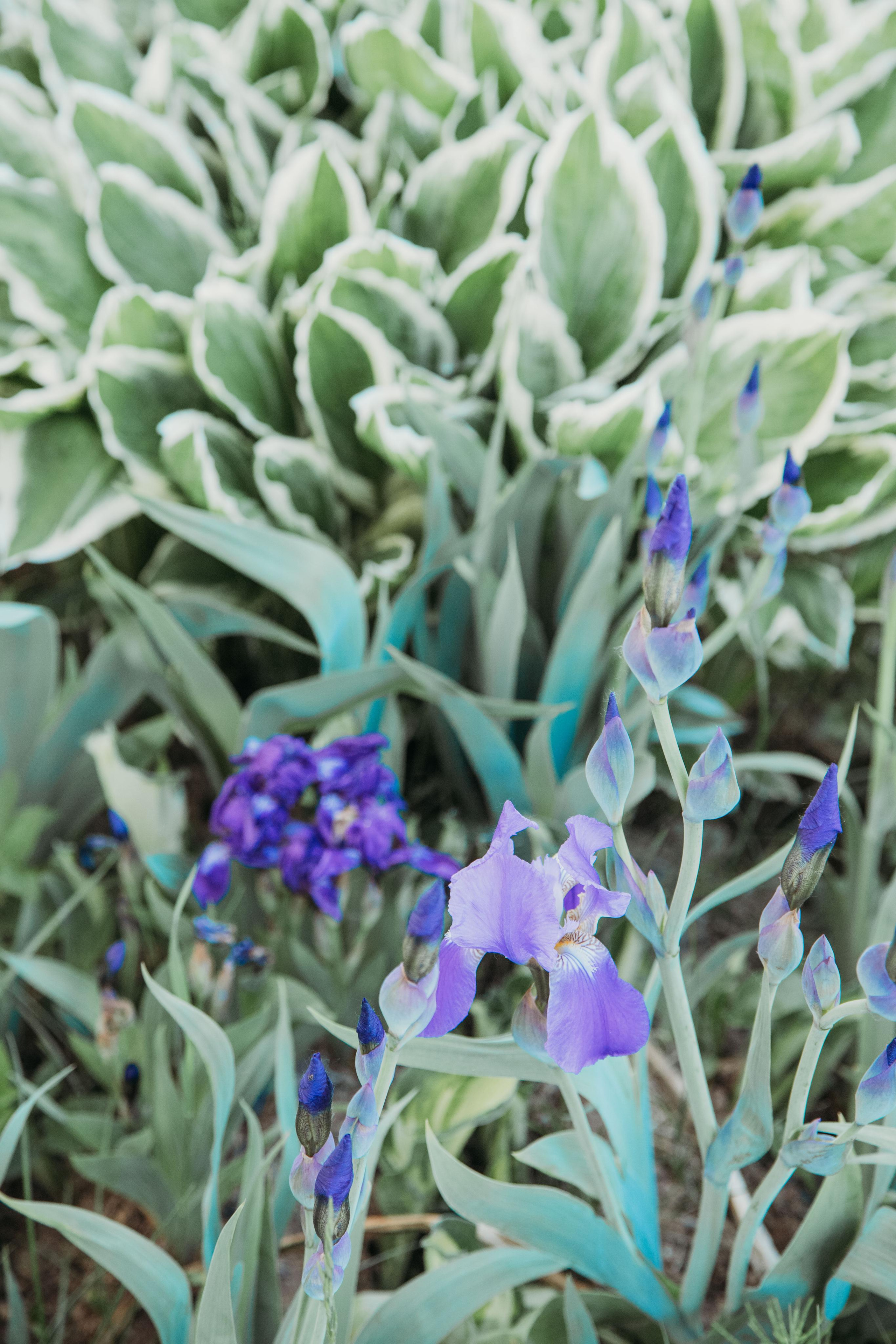 I’m at home when everyone is around. Home