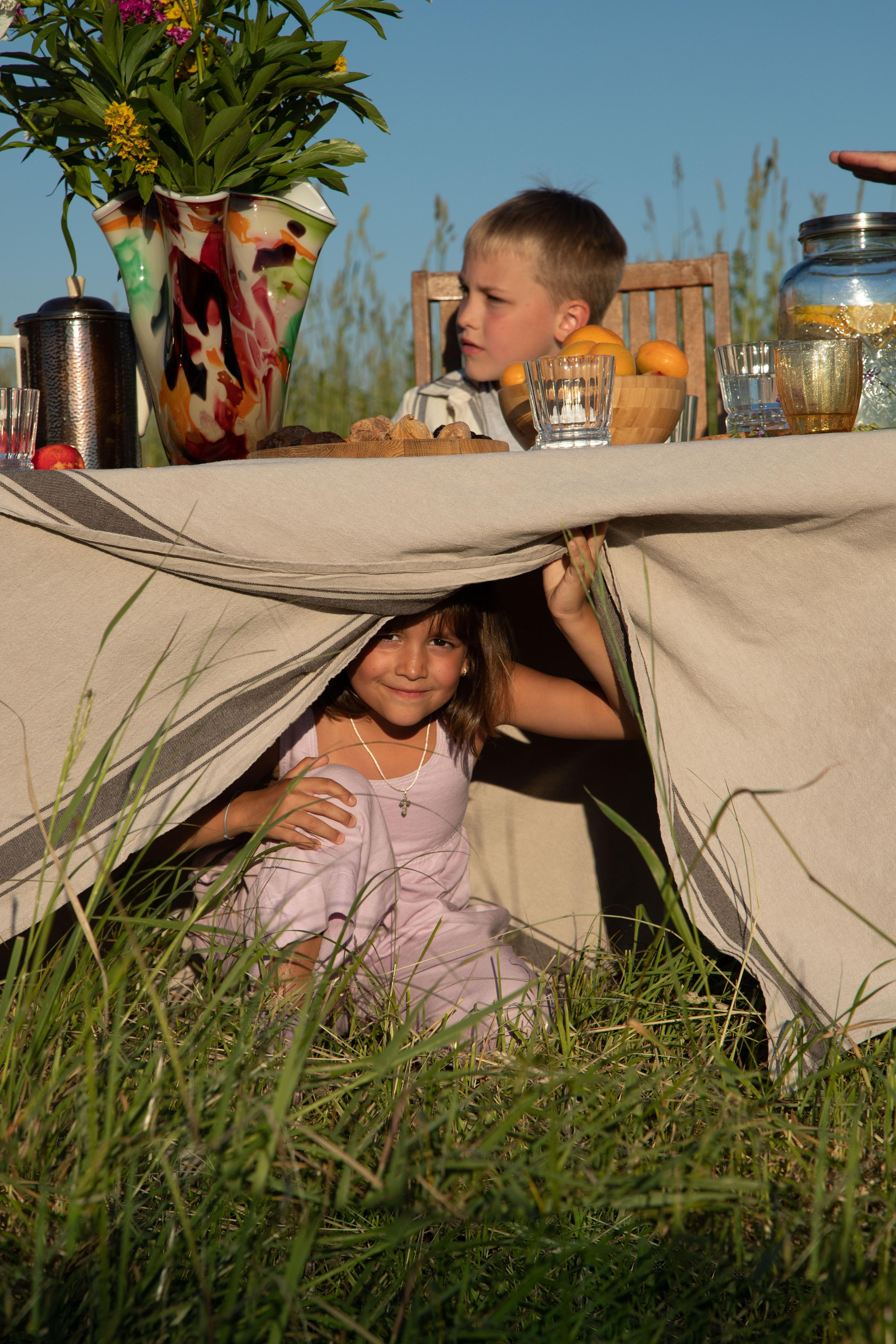 Family dining in the field. Home