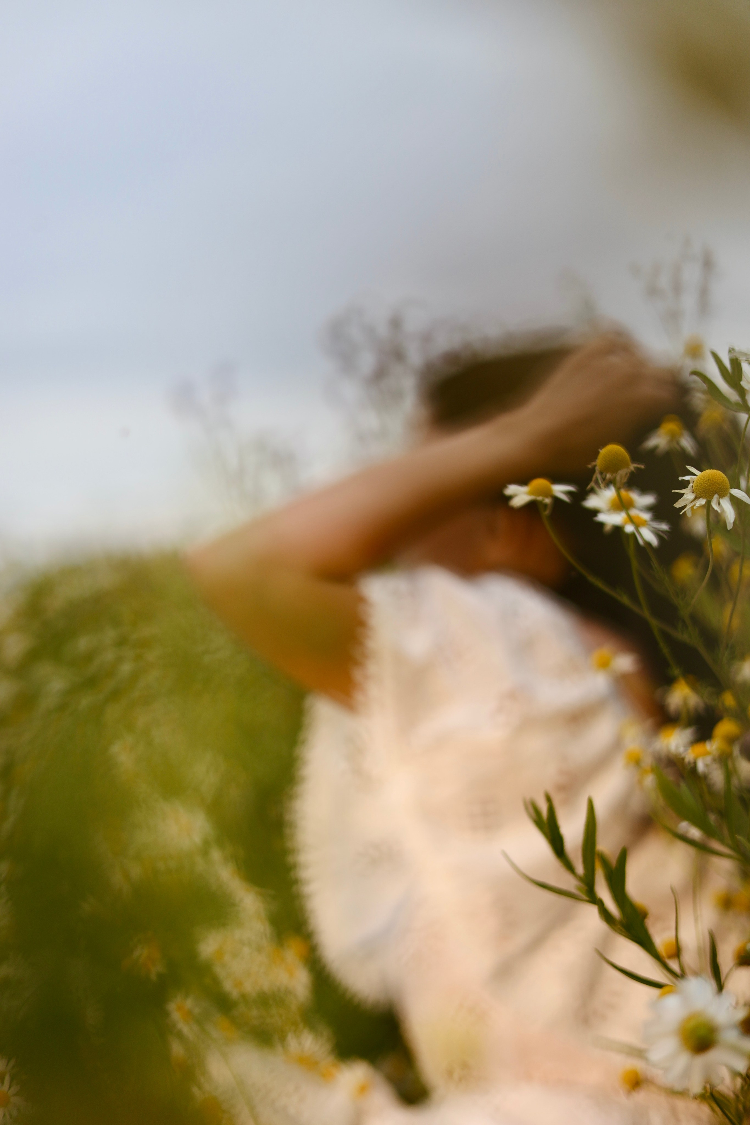 Елена Ромашки. Фотограф Челябинск Беспалова Надежда