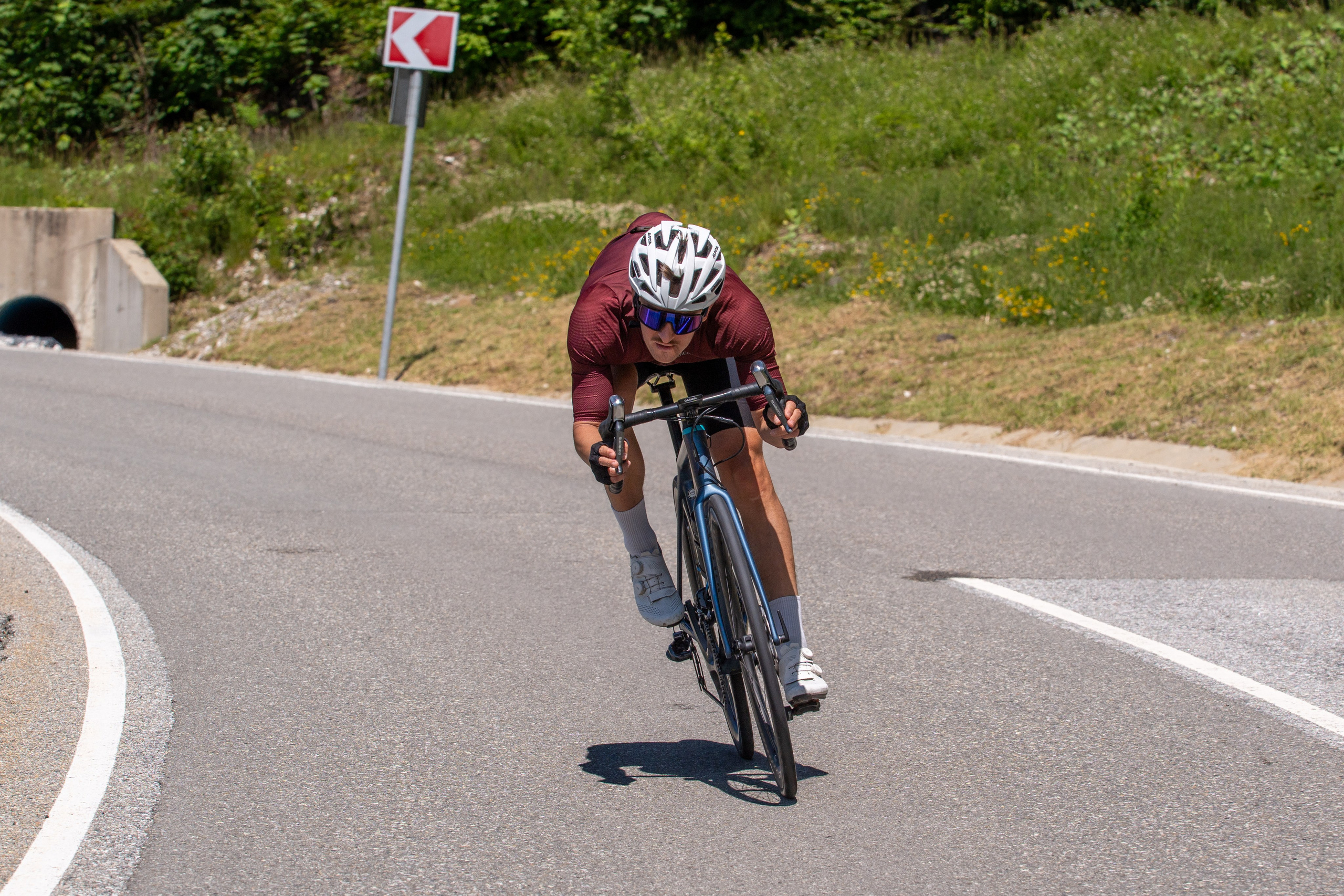 Laura Training Run. Репортажный фотограф в Красной Поляне и Сочи Павлюченко Екатерина