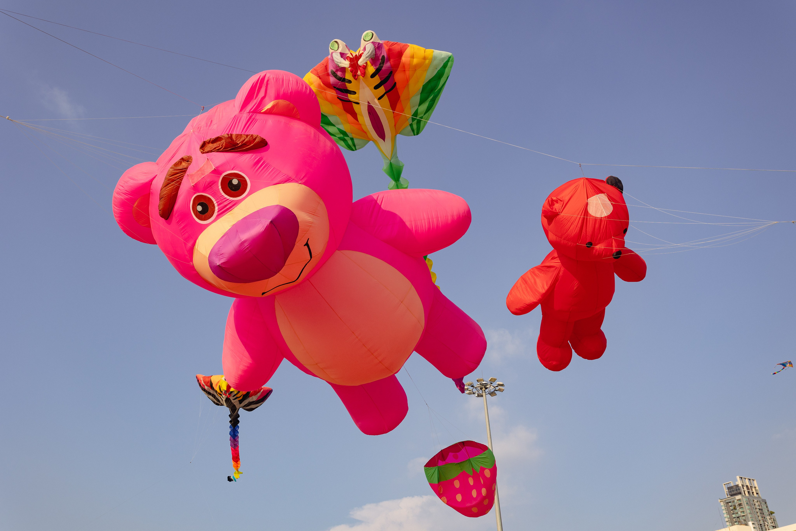 PATTAYA INTERNATIONAL KITE ON THE BEACH 2024. Photographer Sonkina Tatiana (Tanya Ash)