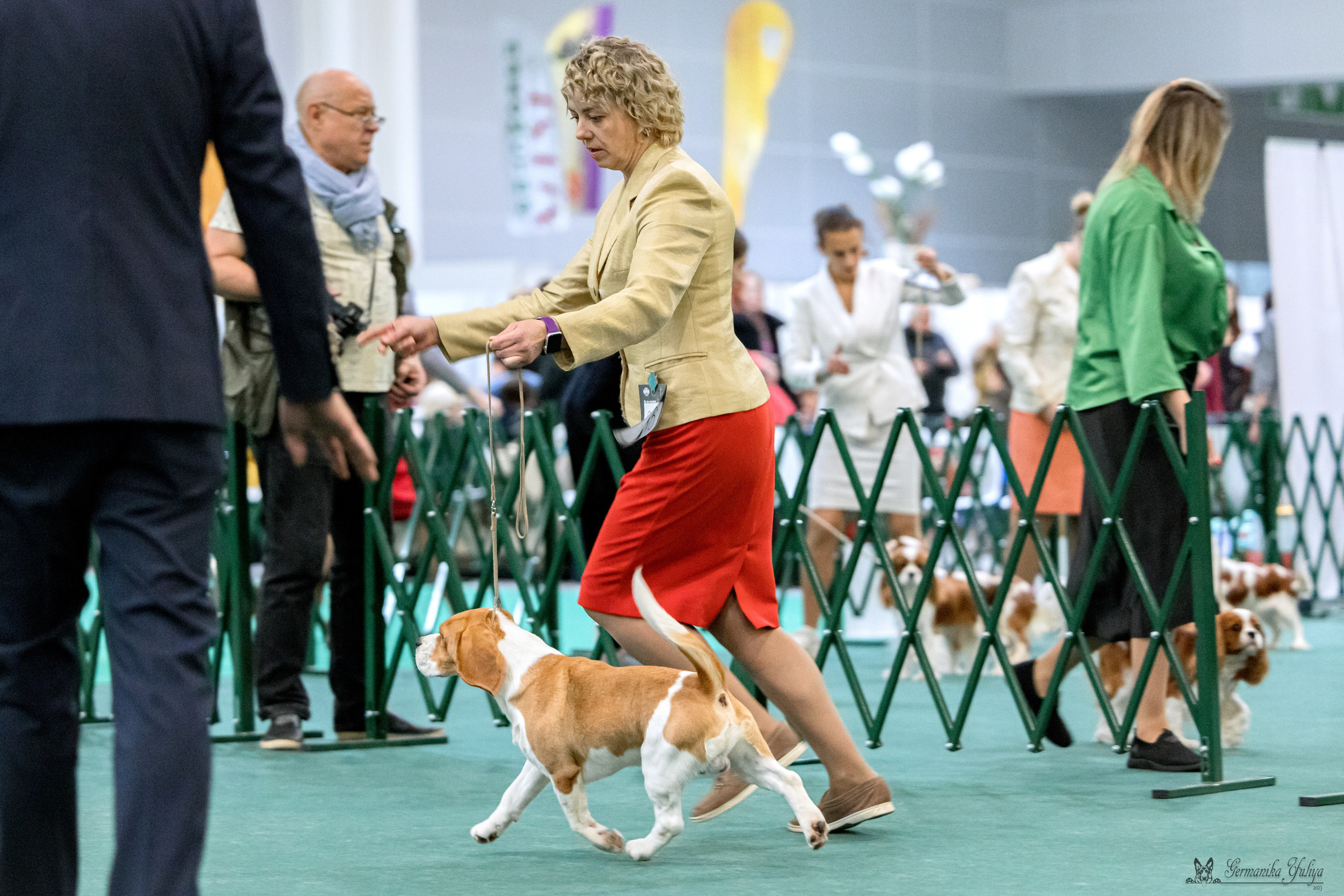 Сфера 29.10,Крокус 4.11,Сфера 12.11.2023. Фотограф-анималист Юлия Германика