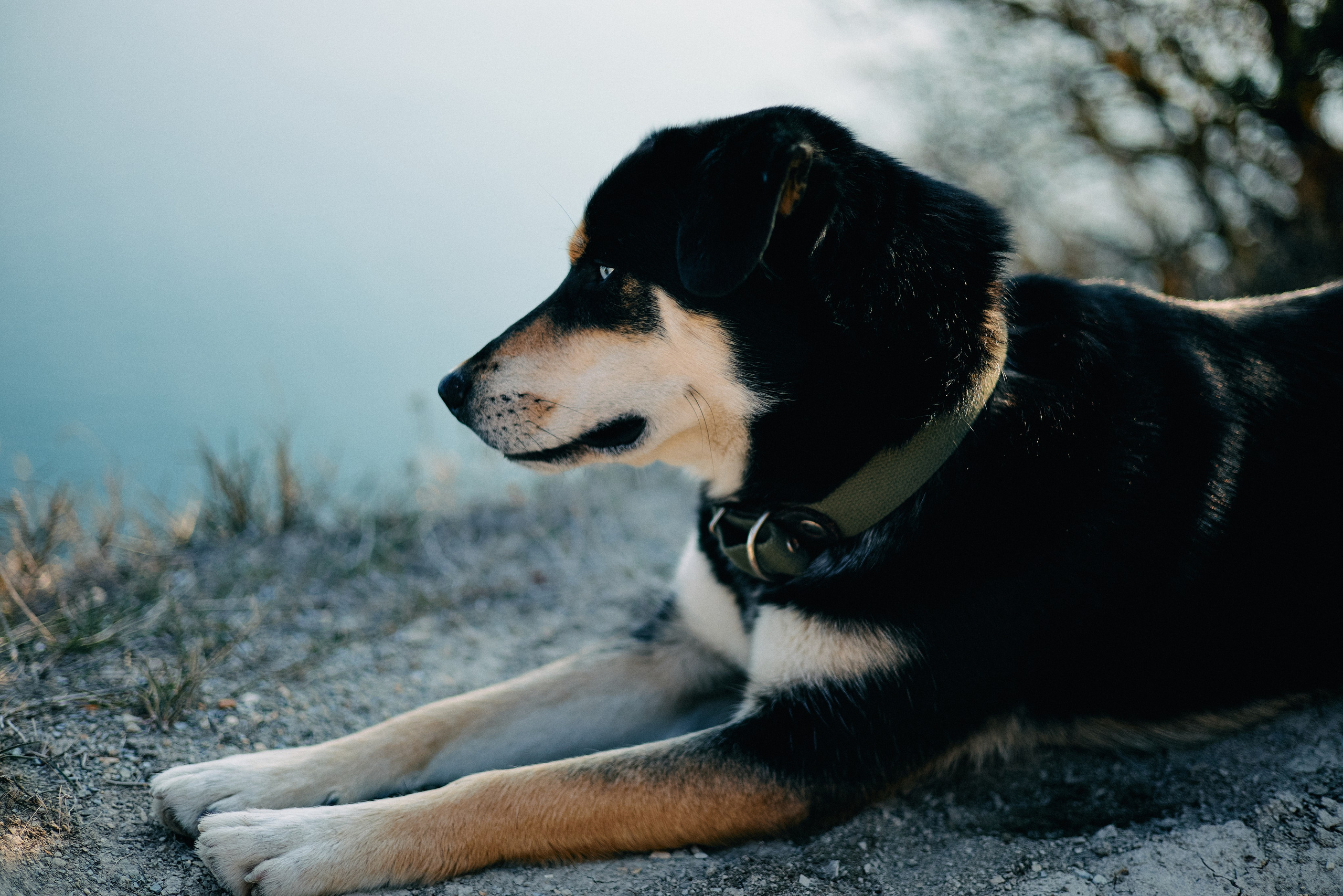 Юг России. Профессиональный Фотограф во Владимире, в Москве и в Суздале — Полина Романычева