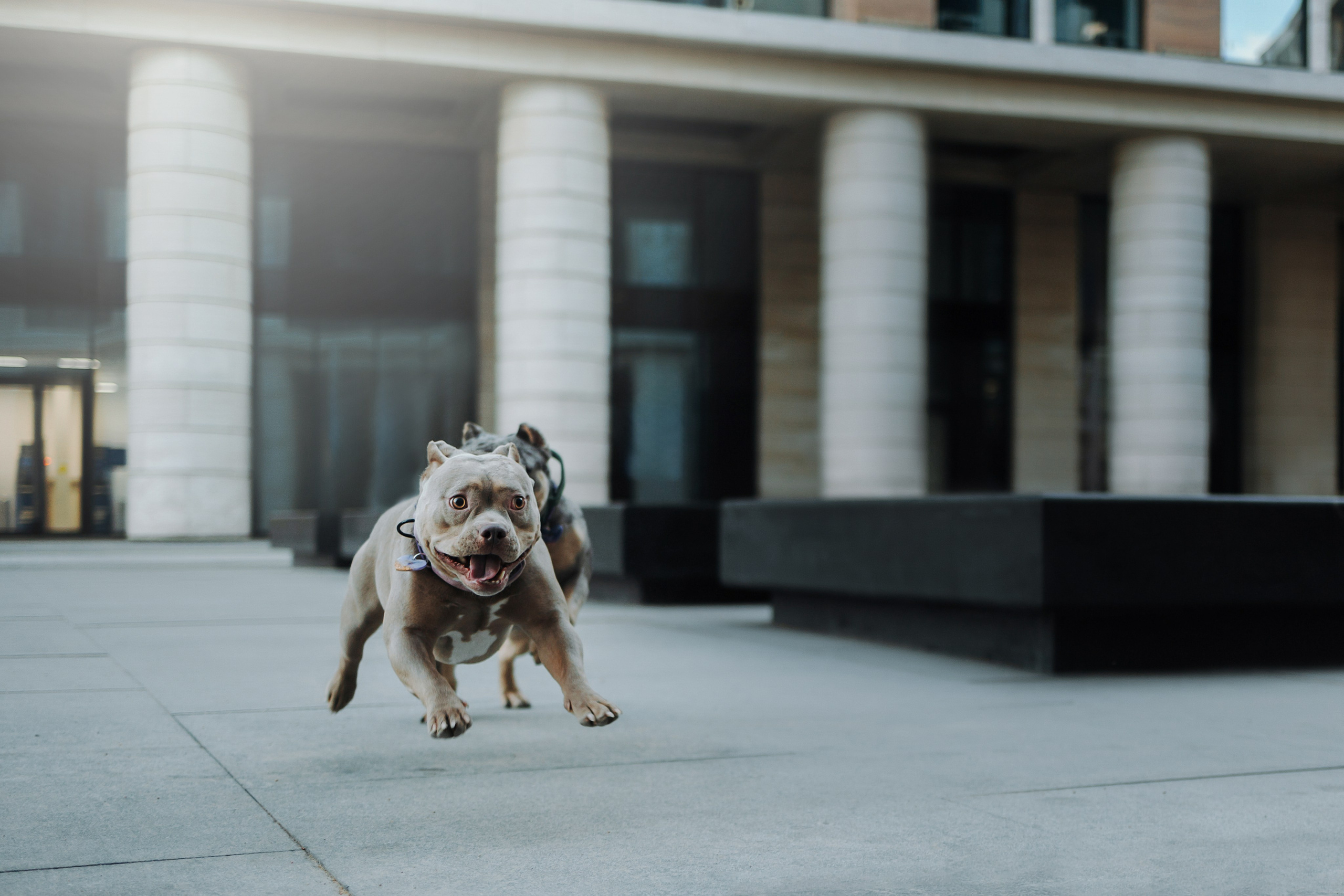 Лера и ее булочки. Фотограф — Анималист | Санкт-Петербург