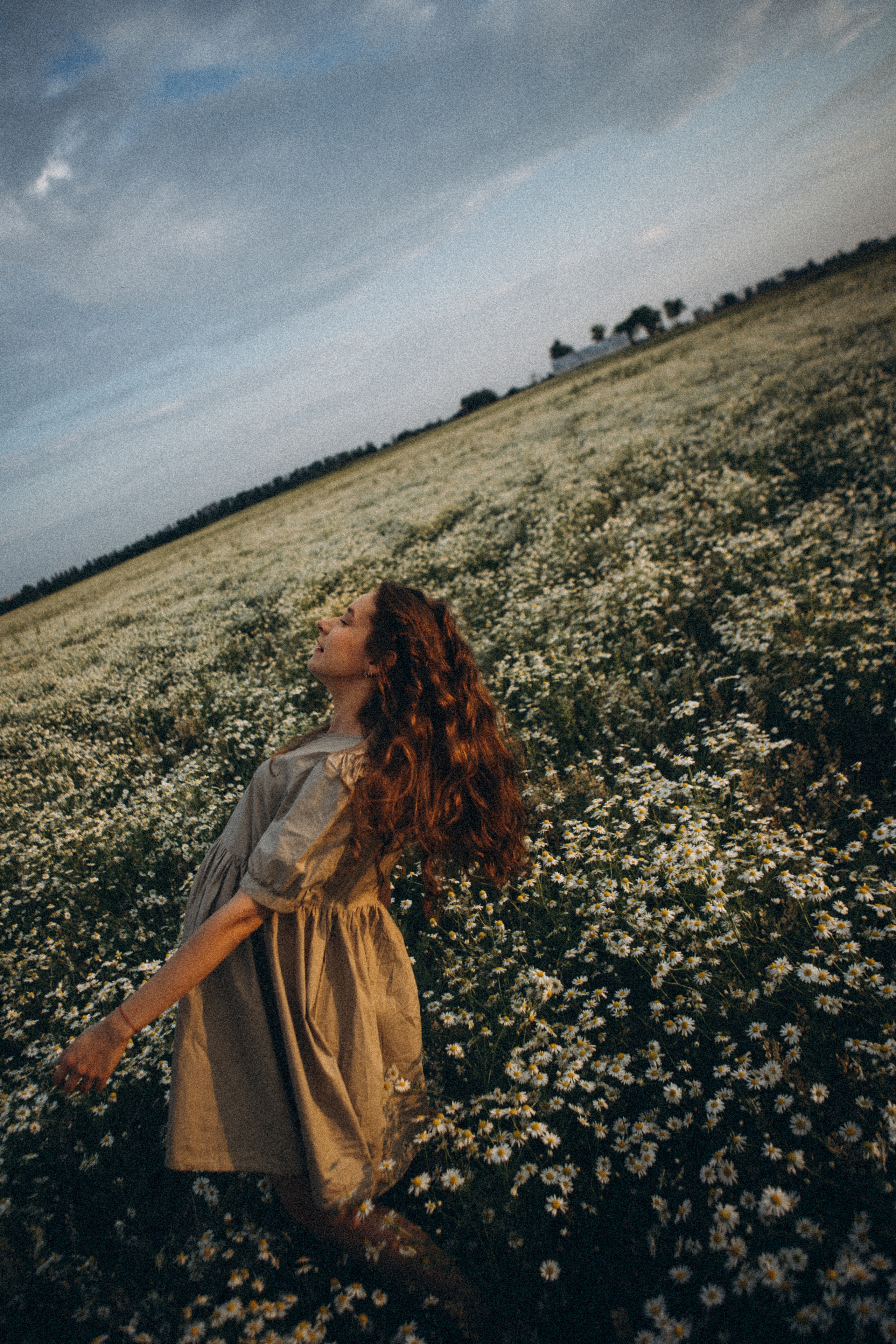 В ромашковом поле. Даша Яковенко Фотограф Спб