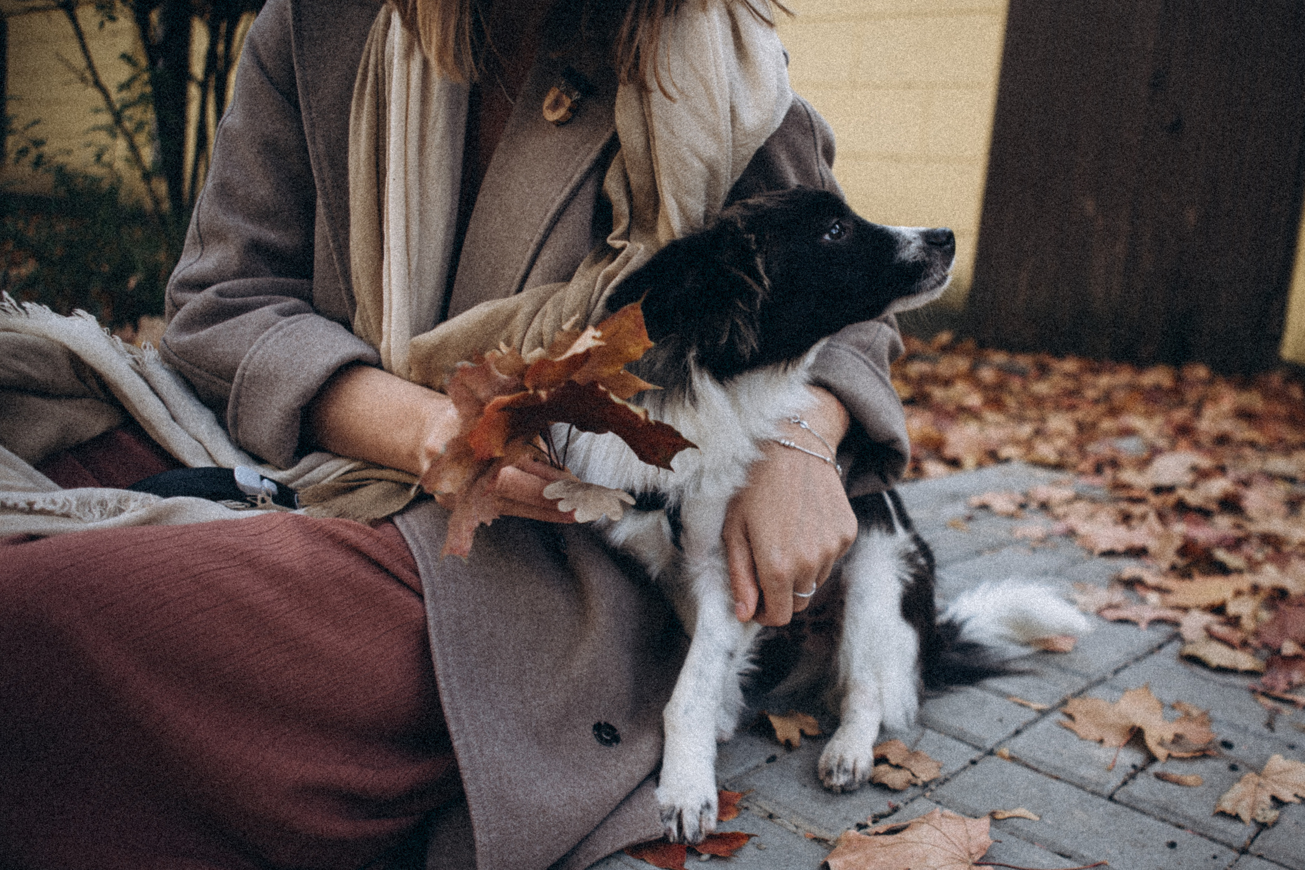 Гулять с собакой. Даша Яковенко Фотограф Спб