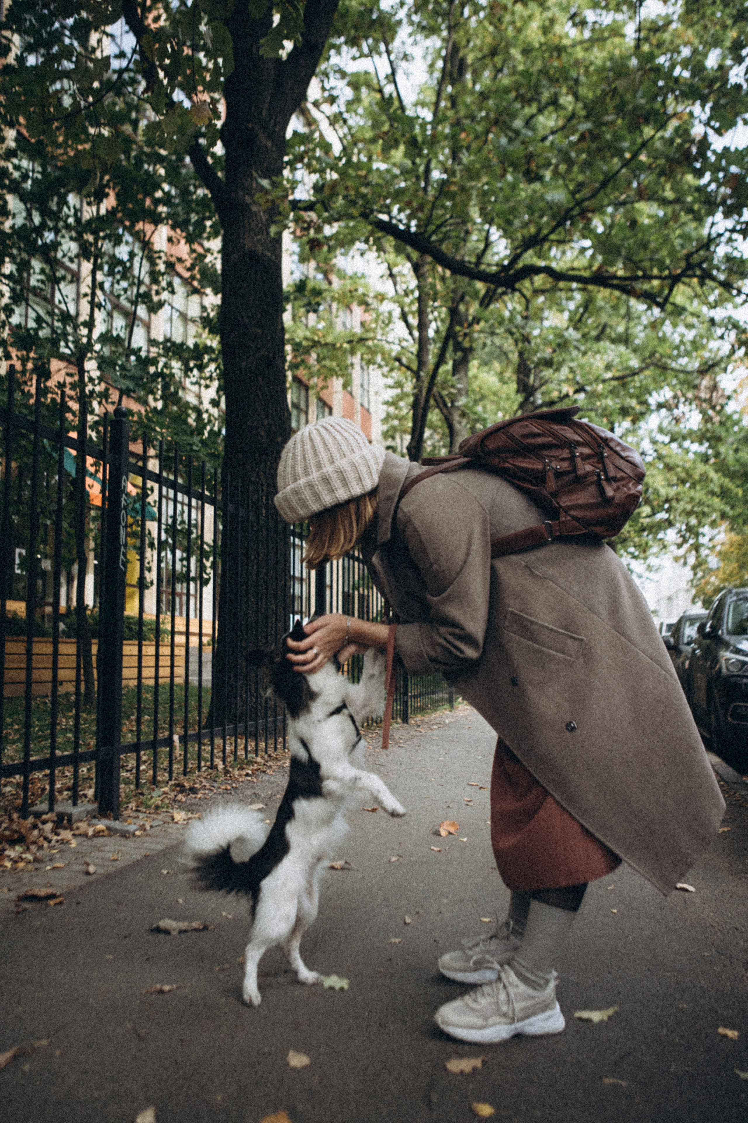 Гулять с собакой. Даша Яковенко Фотограф Спб