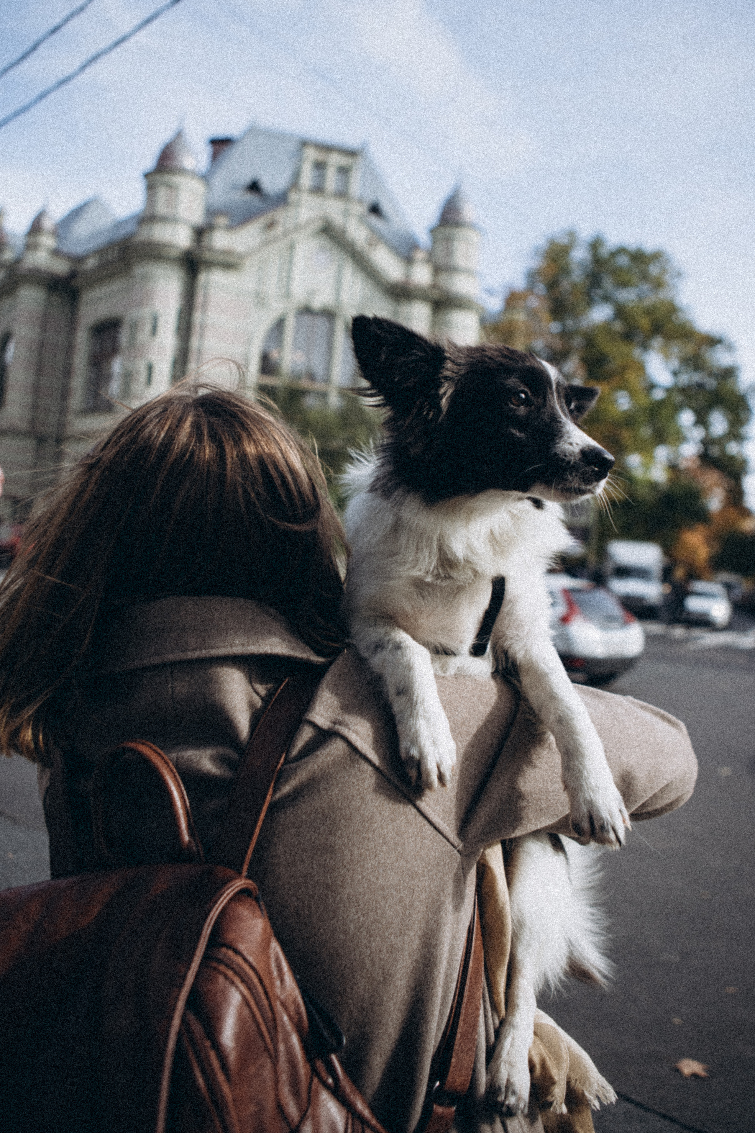 Гулять с собакой. Даша Яковенко Фотограф Спб