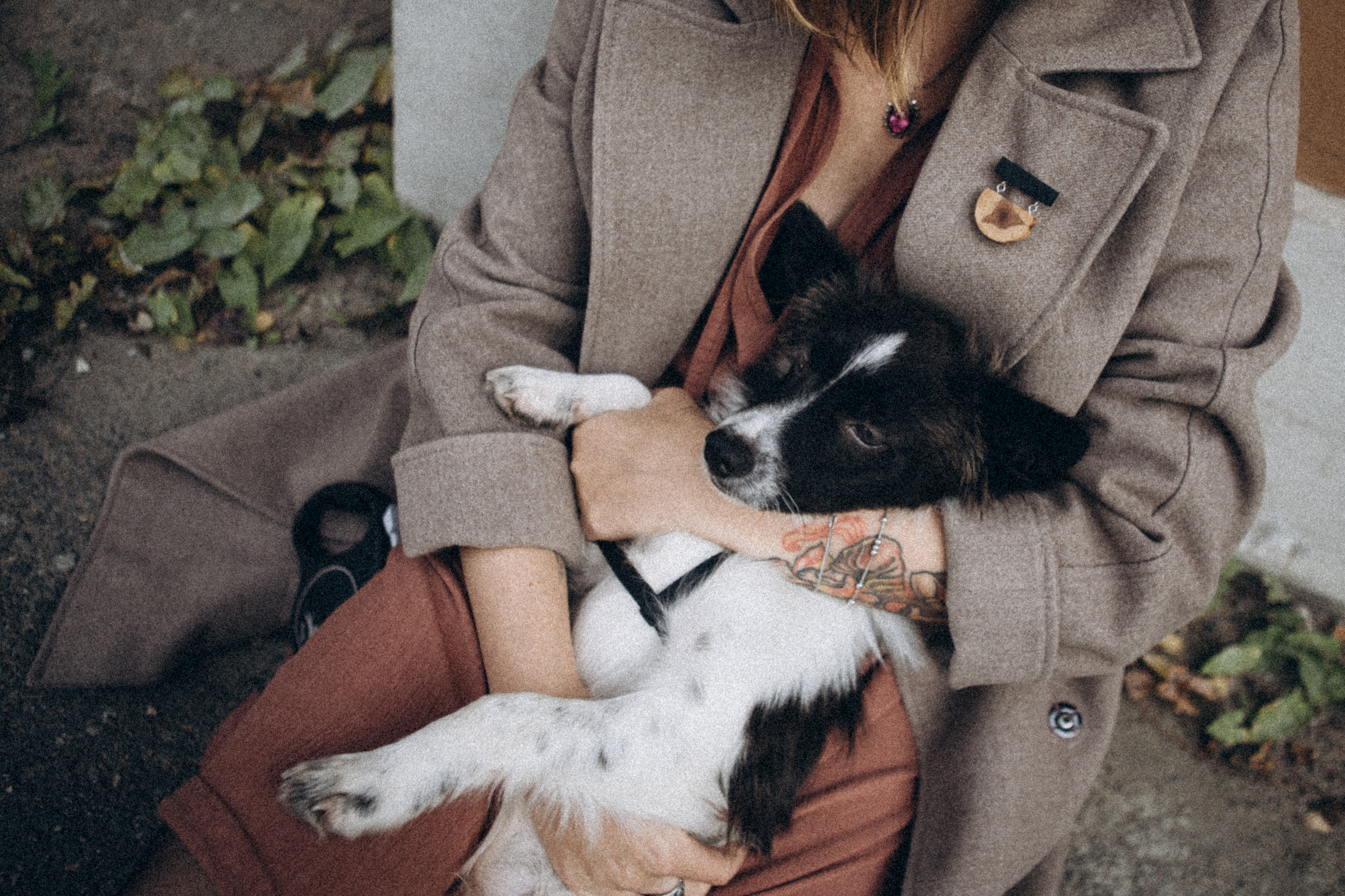 Гулять с собакой. Даша Яковенко Фотограф Спб