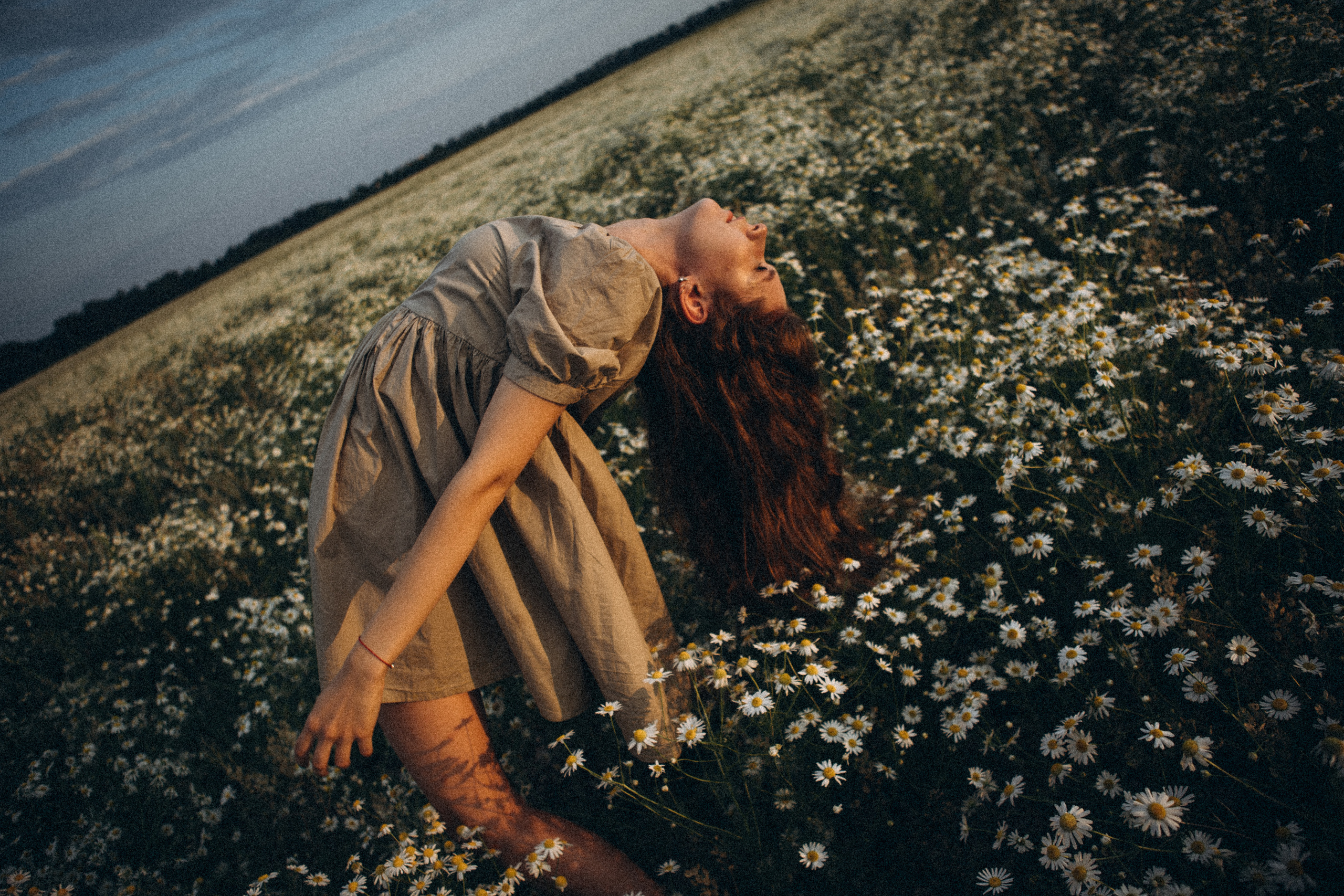 В ромашковом поле. Даша Яковенко Фотограф Спб