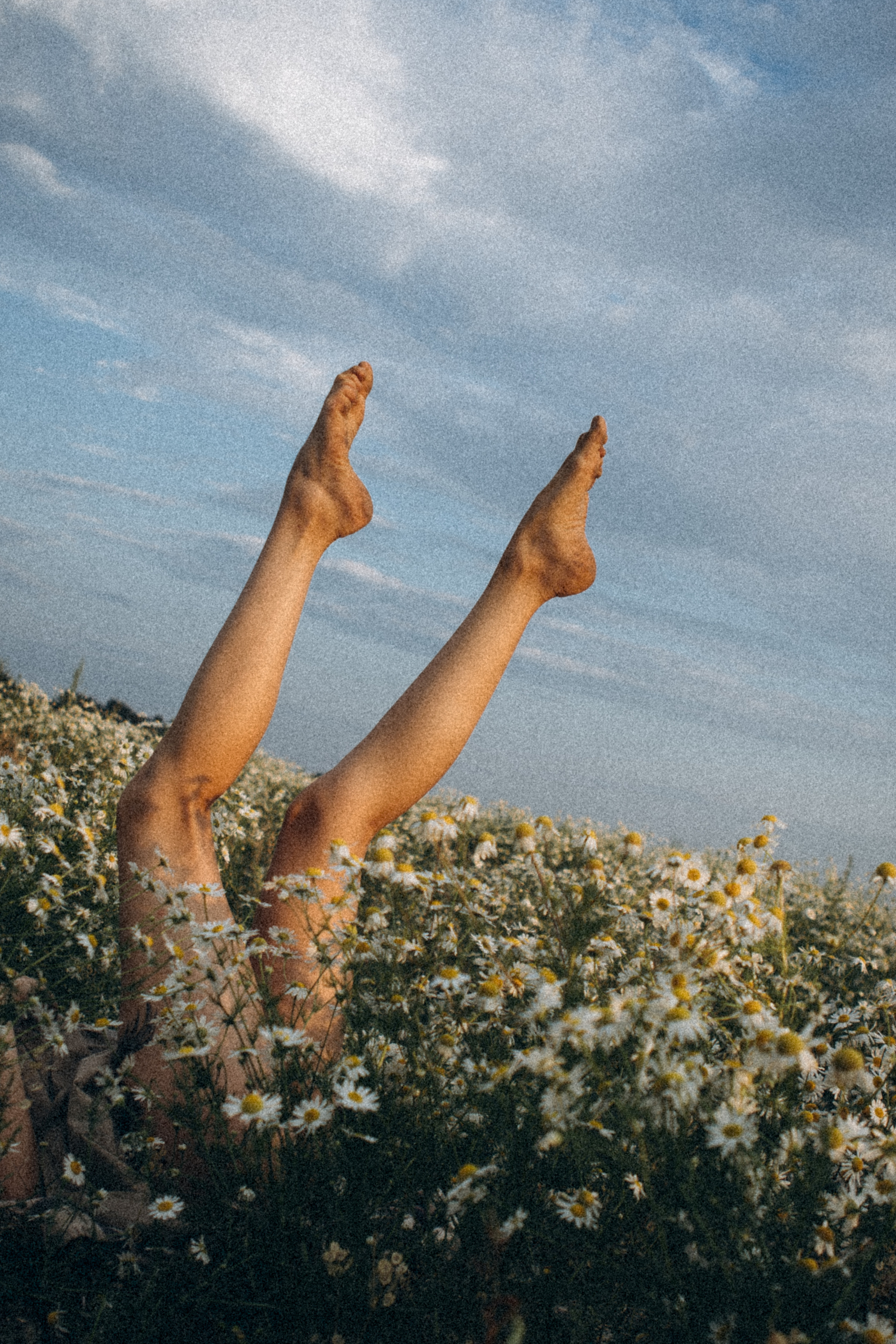 В ромашковом поле. Даша Яковенко Фотограф Спб