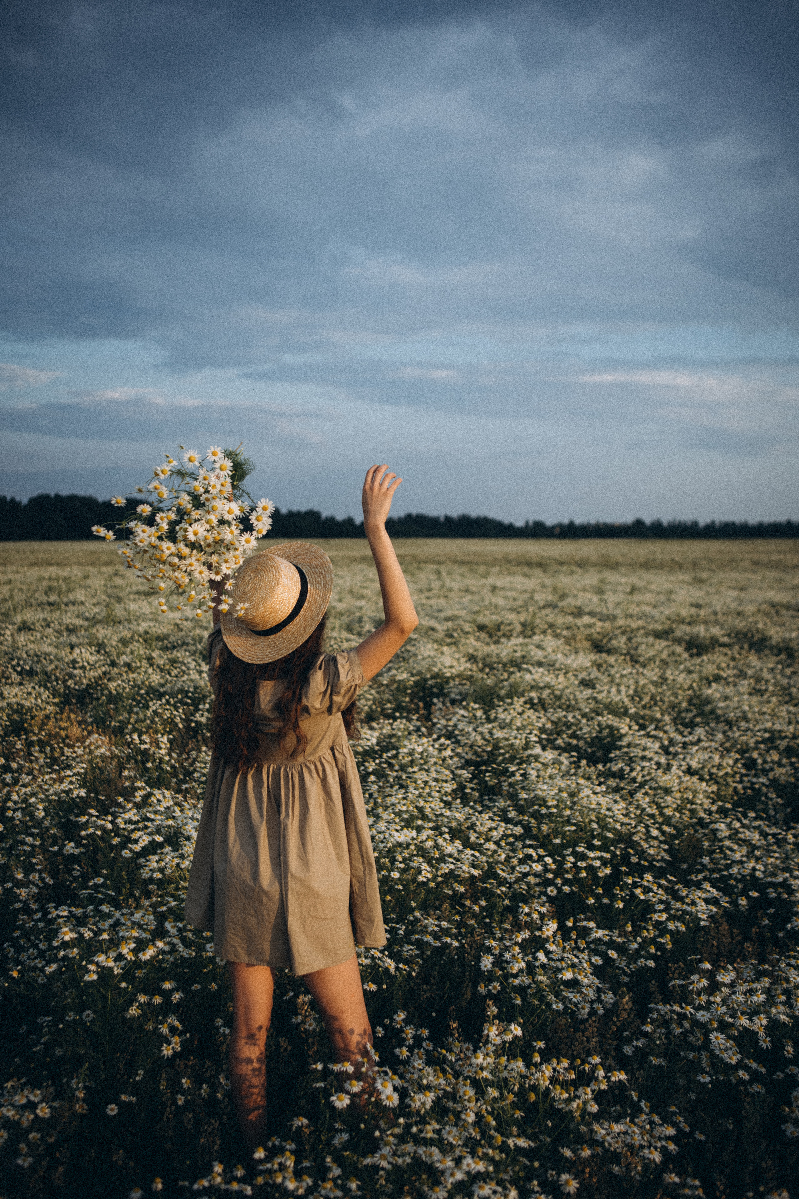 В ромашковом поле. Даша Яковенко Фотограф Спб