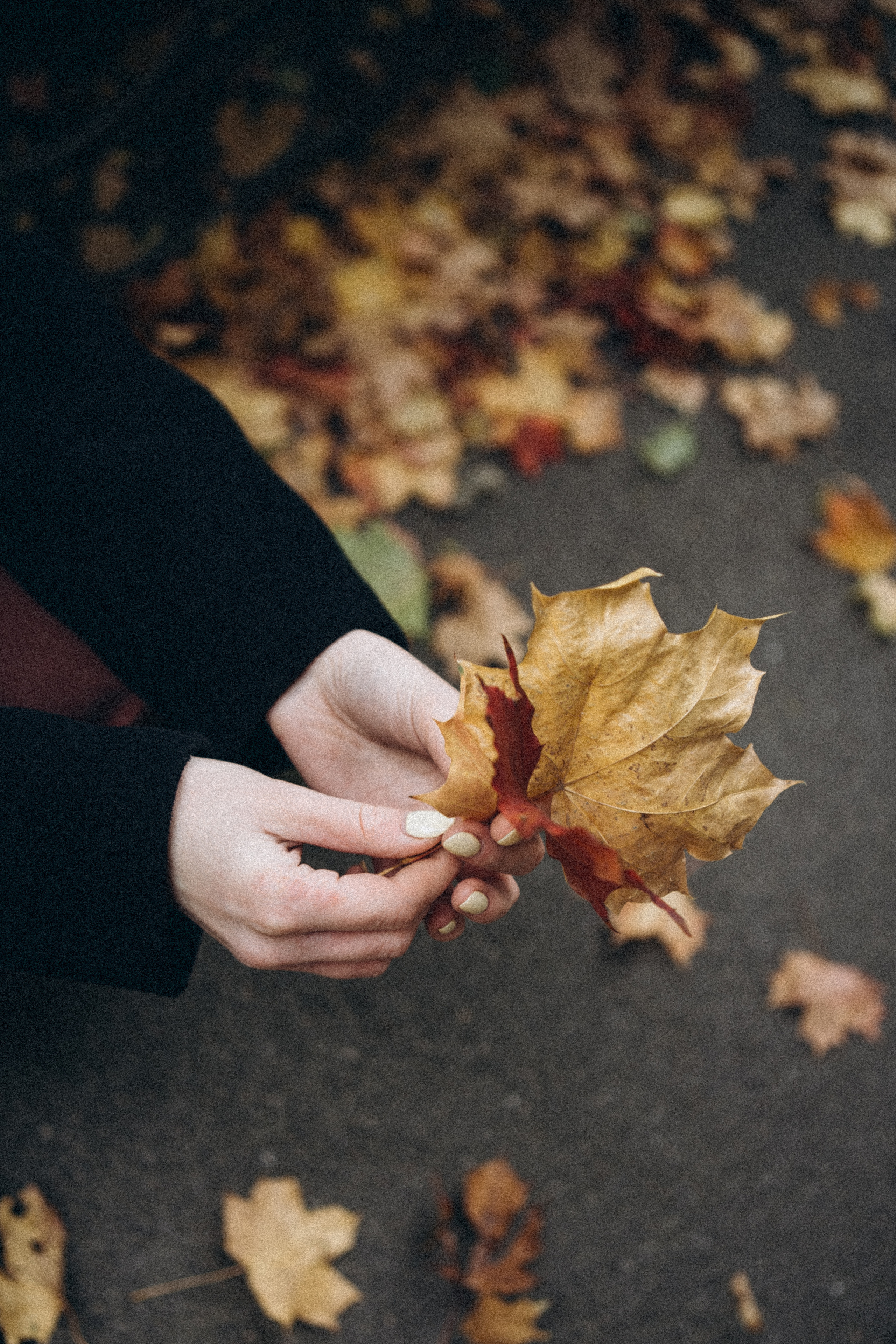Шуршать первыми листьями. Даша Яковенко Фотограф Спб