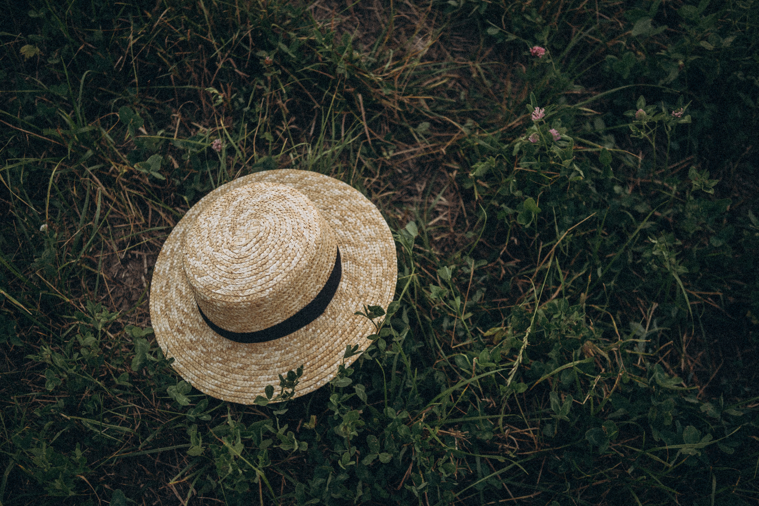 В ромашковом поле. Даша Яковенко Фотограф Спб