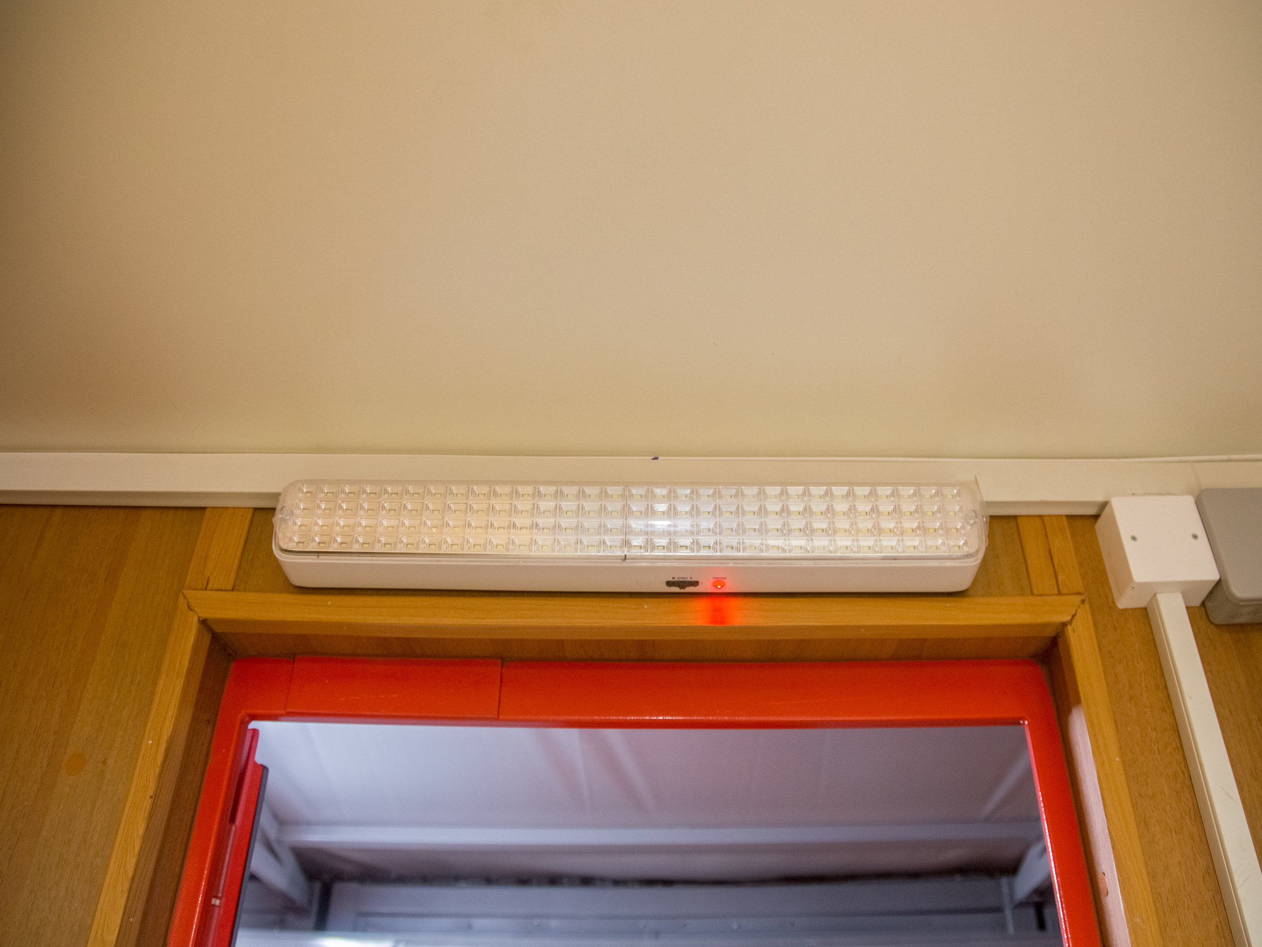 Купавна. Виктория Еремина — фотограф и видеограф в Москве