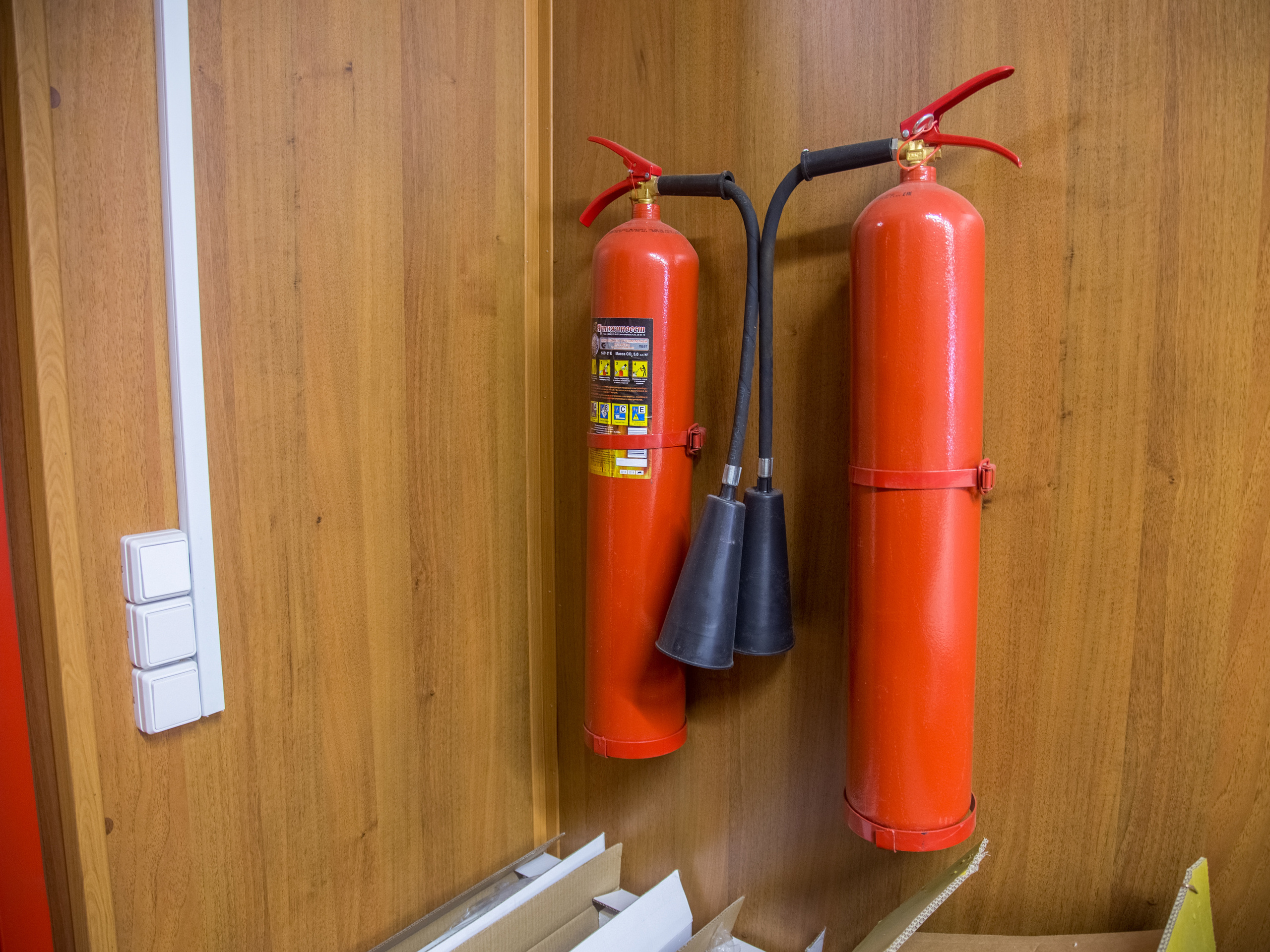 Купавна. Виктория Еремина — фотограф и видеограф в Москве