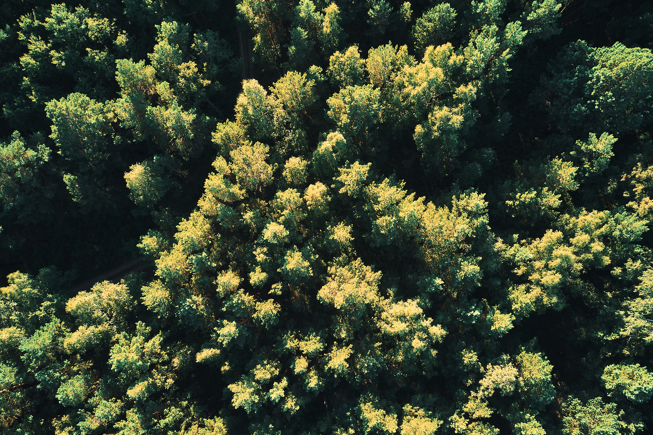 Морелеса. Бизнес портрет Аэросъемка Интерьерная съемка Тюмень