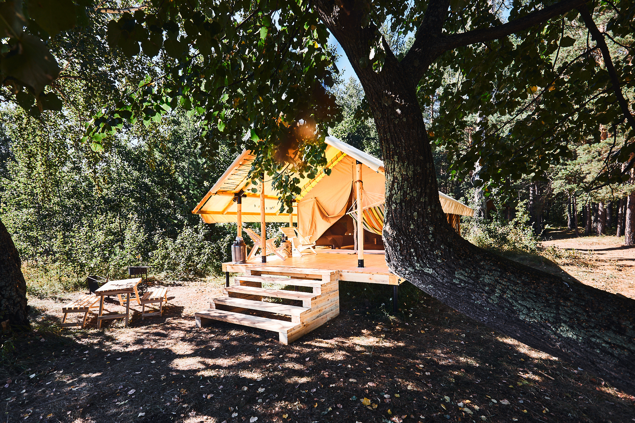 Морелеса. Бизнес портрет Аэросъемка Интерьерная съемка Тюмень