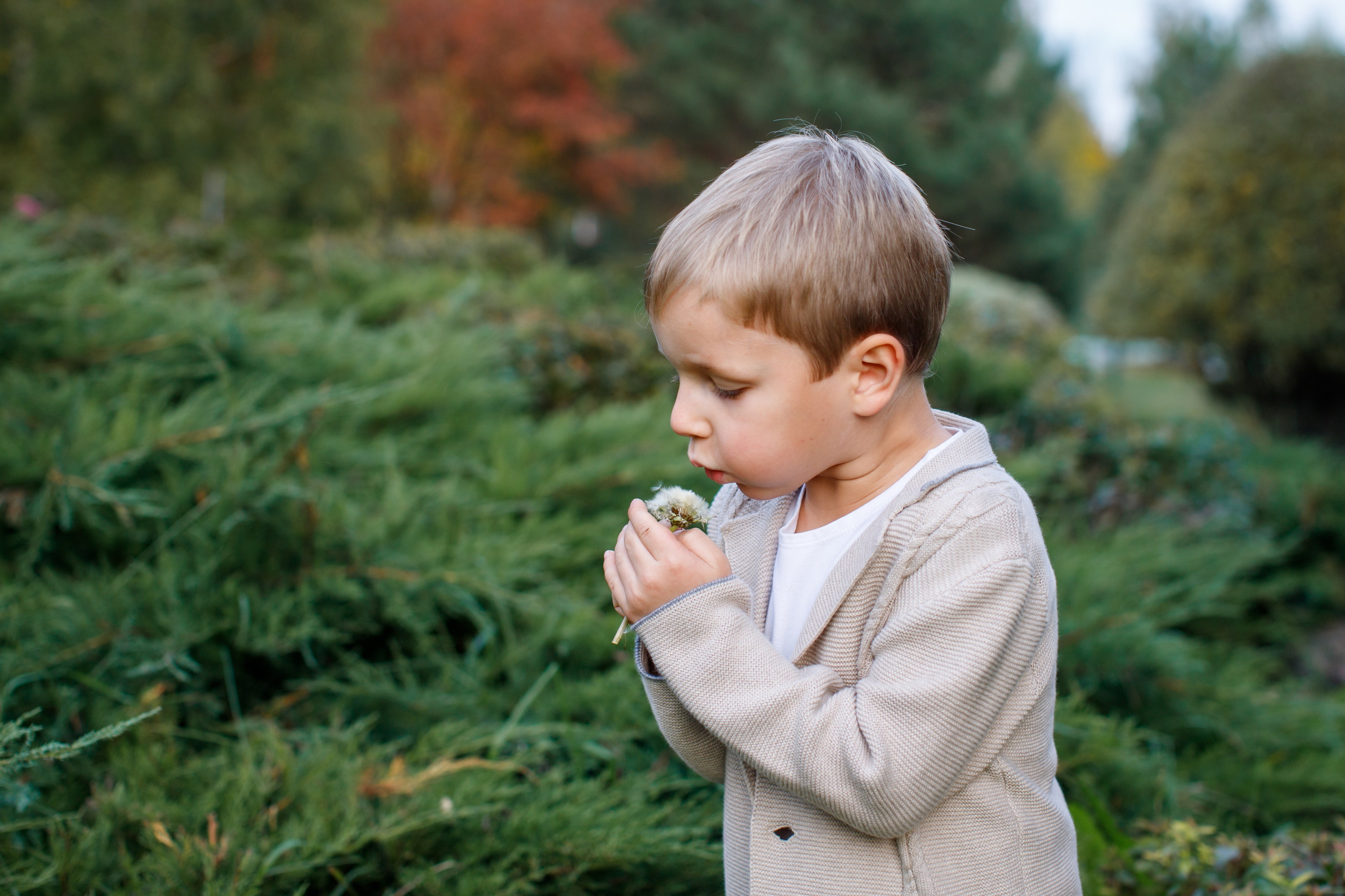 Осень. Детский и семейный фотограф Мария Киселёва. Москва