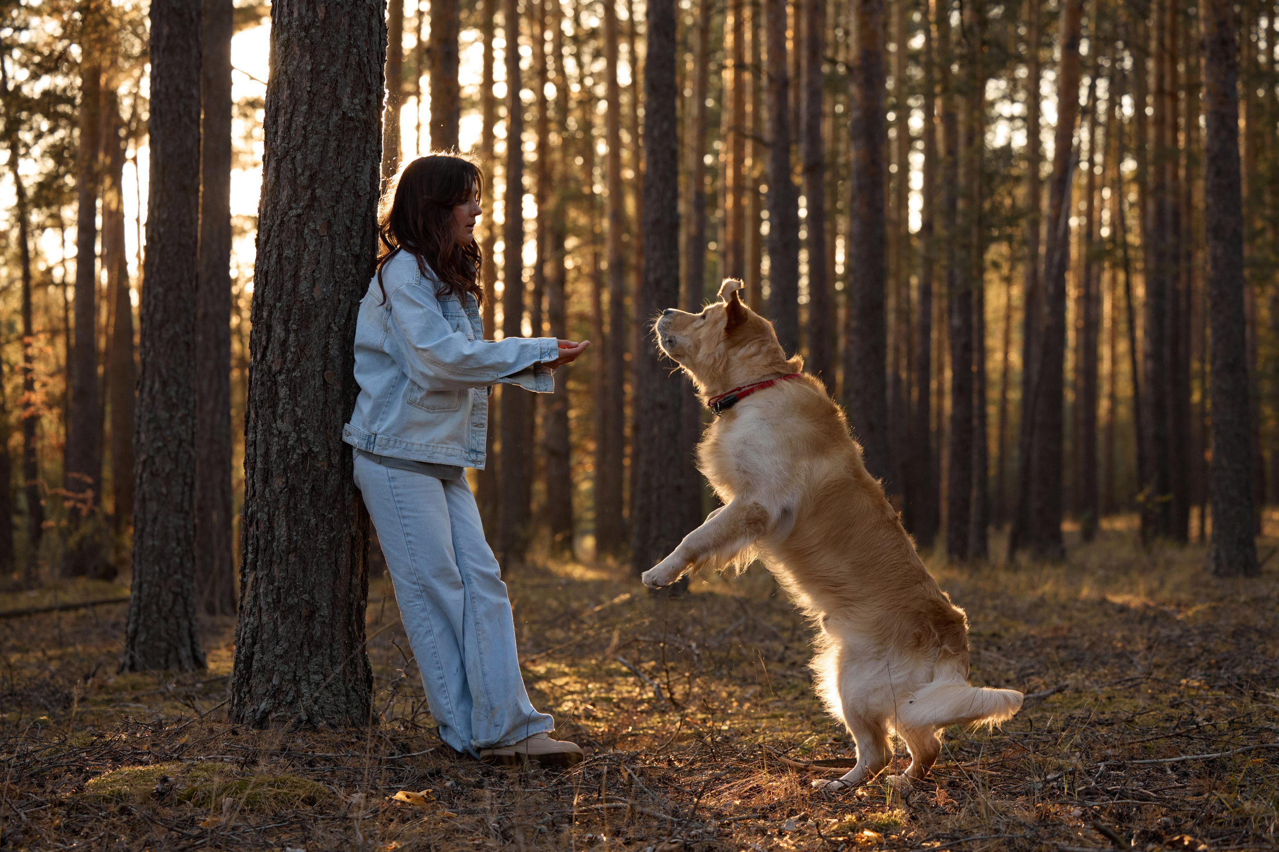 В Марийских лесах. Фотограф анималист в Казани Алина Сулейманова. Фотограф животных