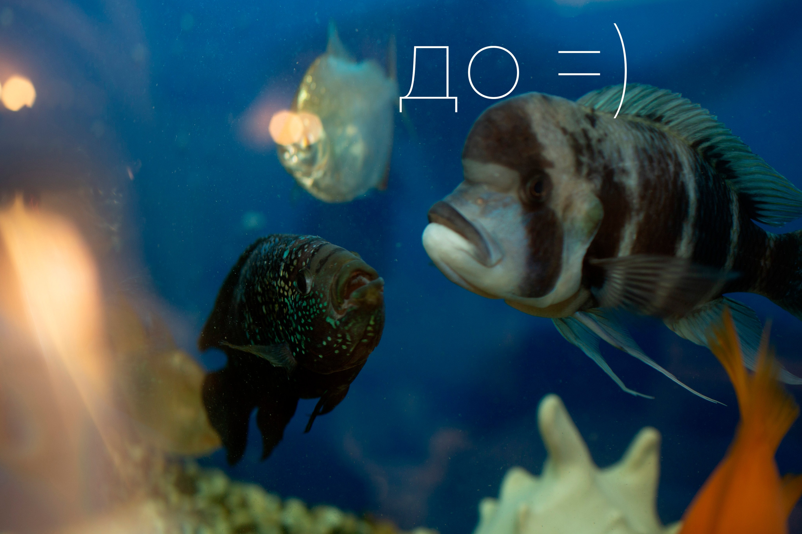 За кадром 😉. Фотограф Светлана Петрова