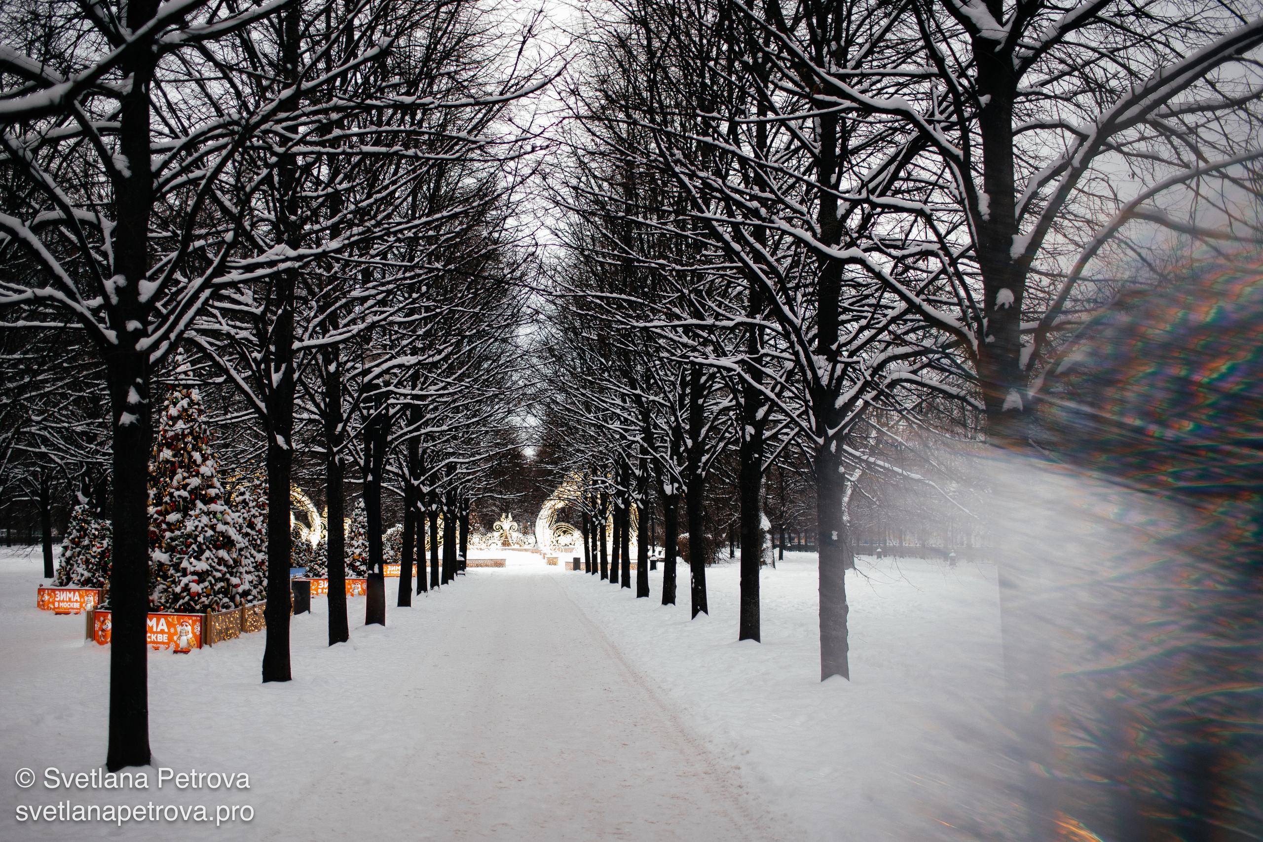 Новогодние Локации 1 января 2026. Фотограф Светлана Петрова
