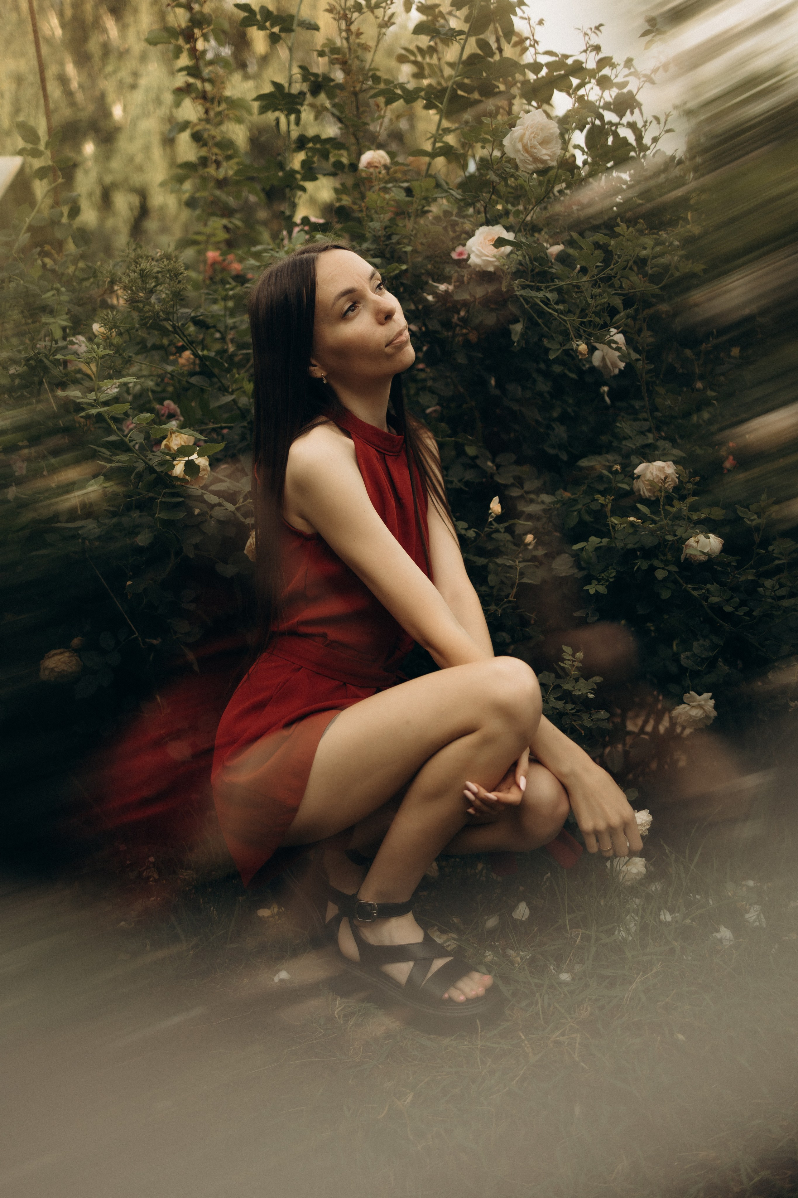 Фотопроект «Время Роз». Семейный фотограф в Ижевске Даша Денисова