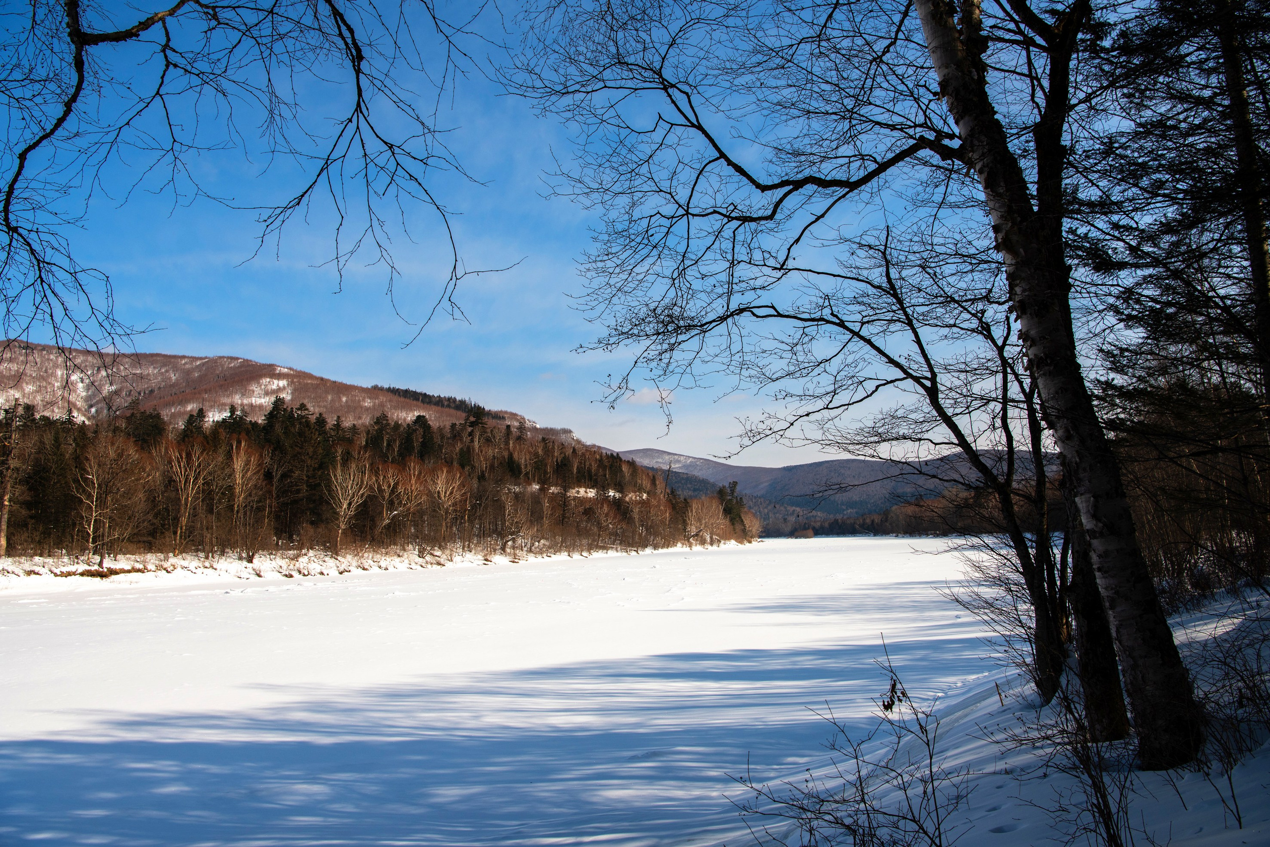 Природа Хабаровского края. Команда фотографов Кристины Ивановой