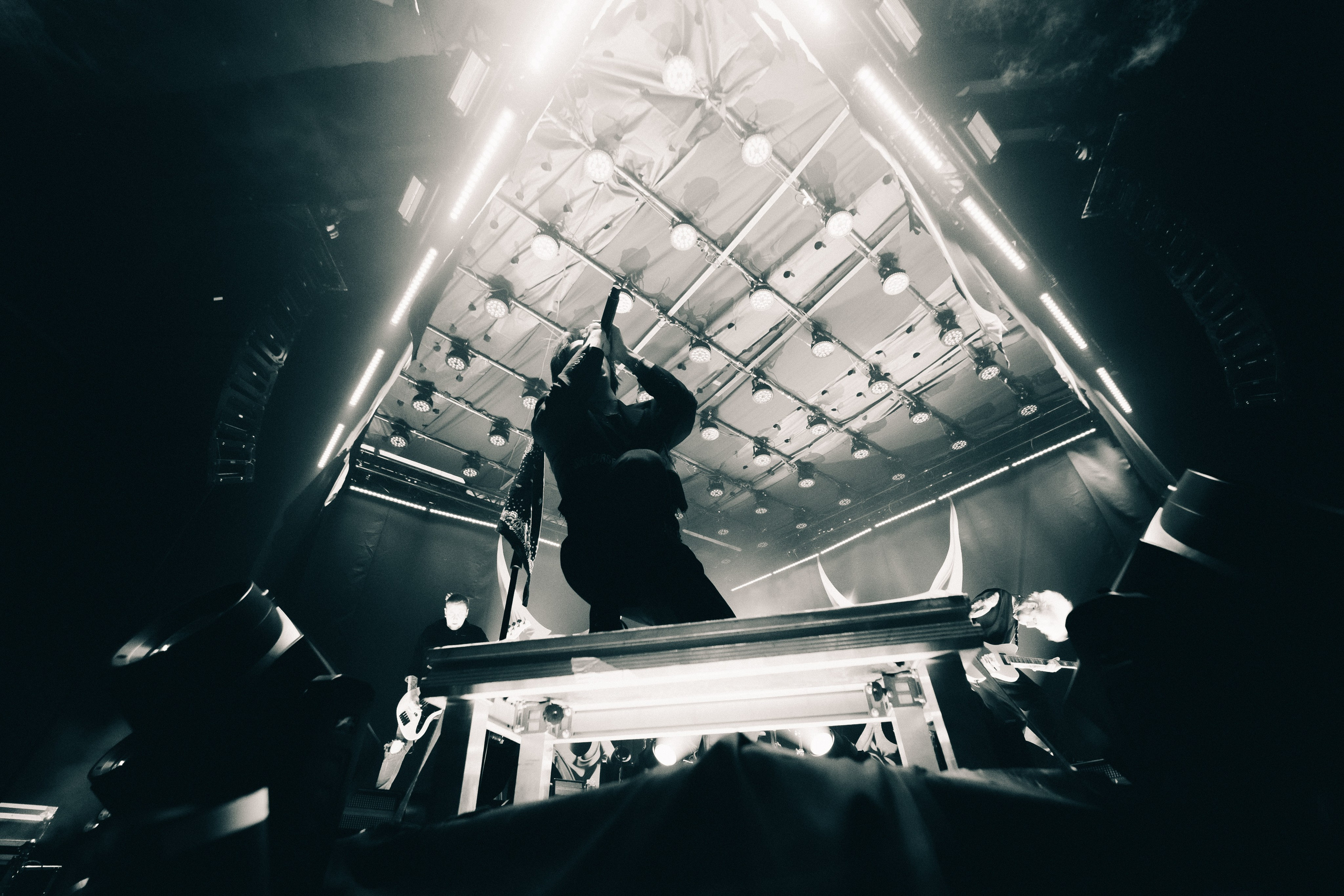 WILDWAYS. PASHAHARCE PHOTOGRAPHER & VIDEOGRAPHER