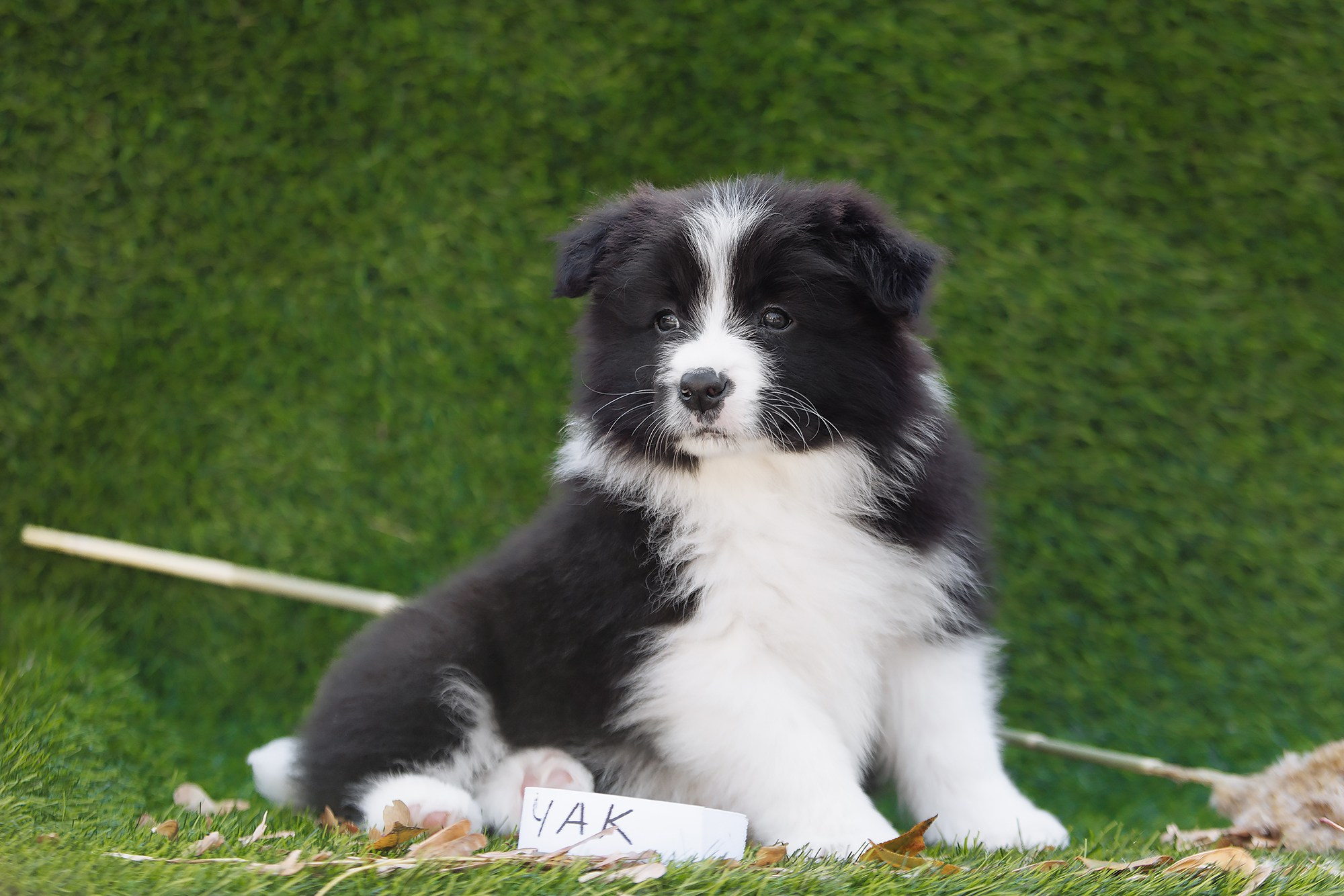 Новый лист. О нас