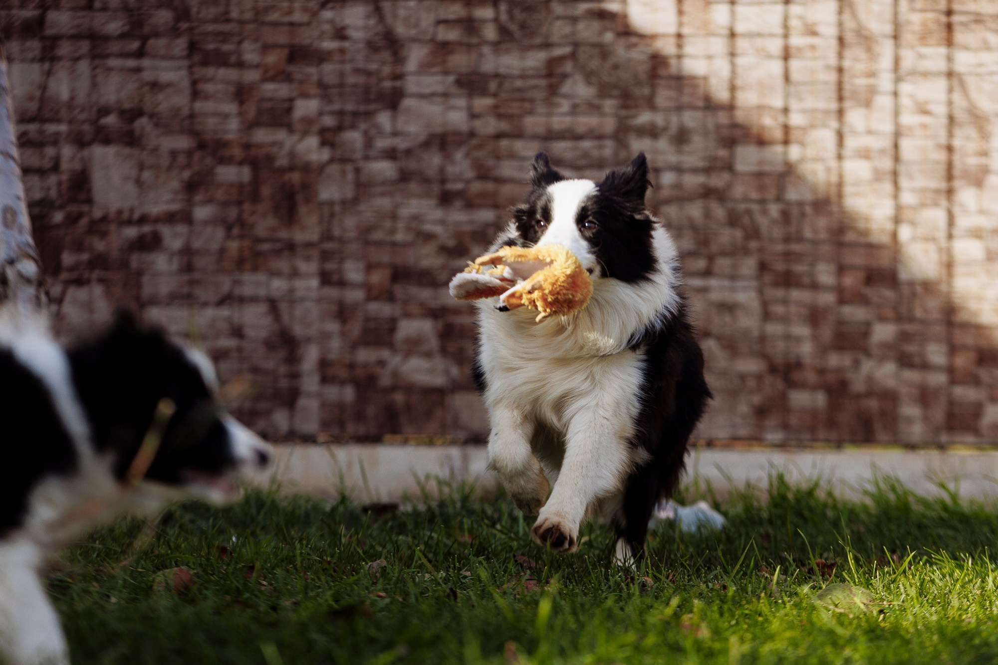 У дома с большой компанией от мала до велика. О нас