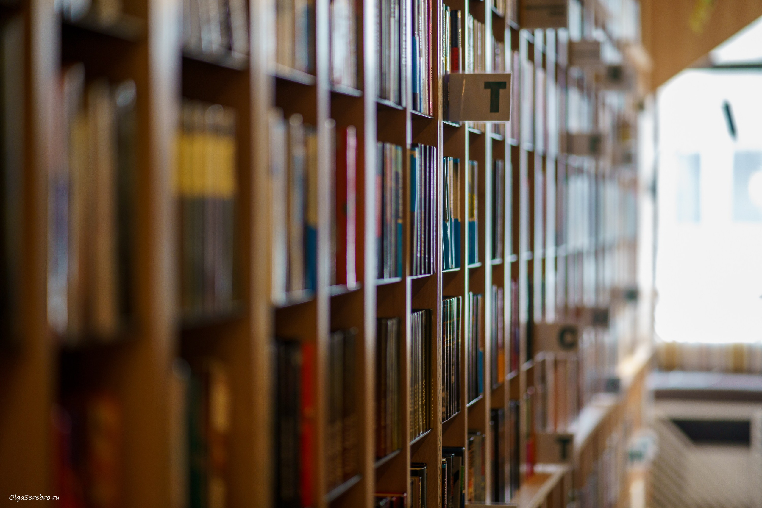 Встреча «Экологичный образ жизни». Фотограф Челябинск · Ольга Серебрякова