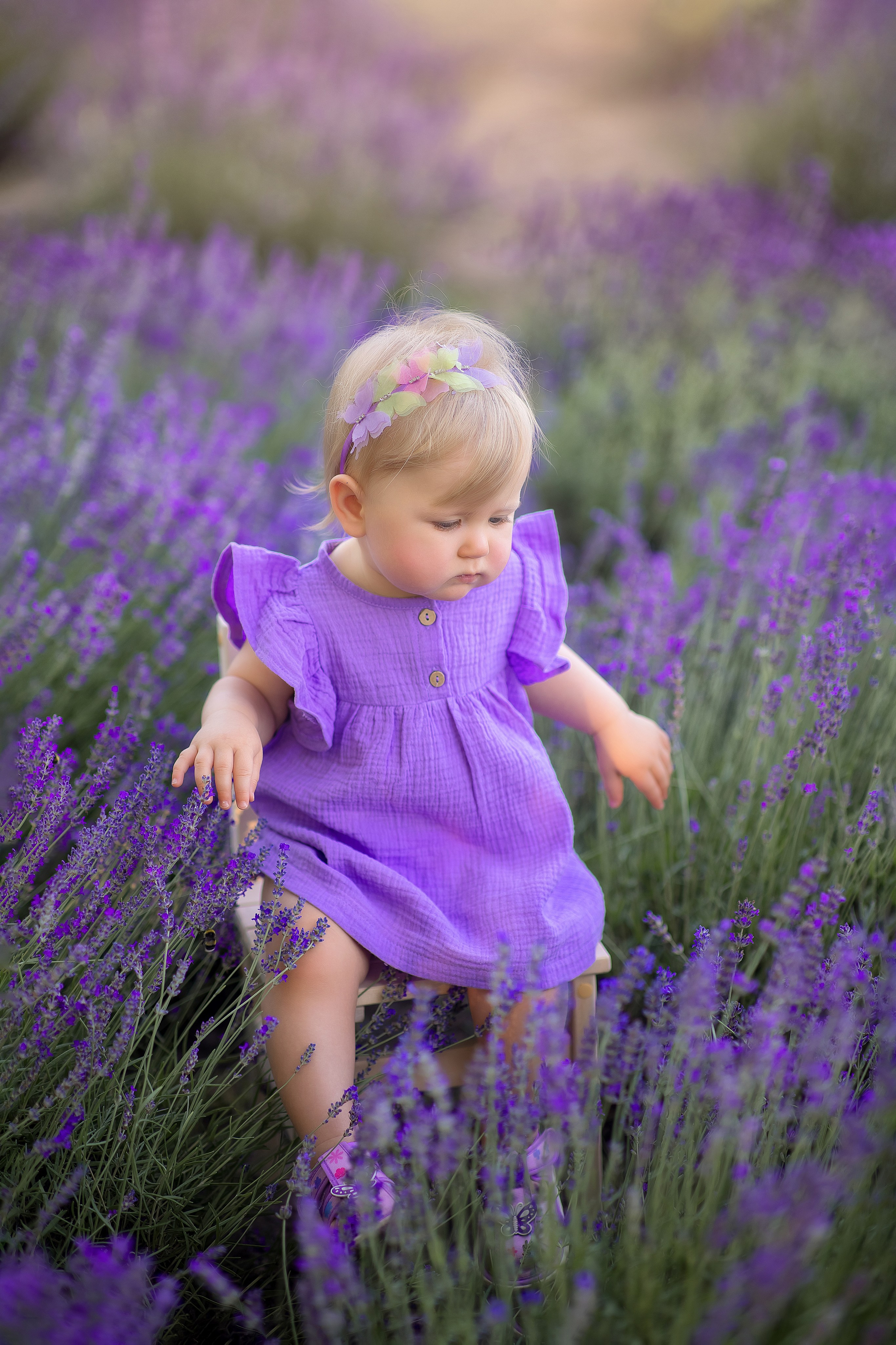 Лаванда. Фотограф на крещение и венчание