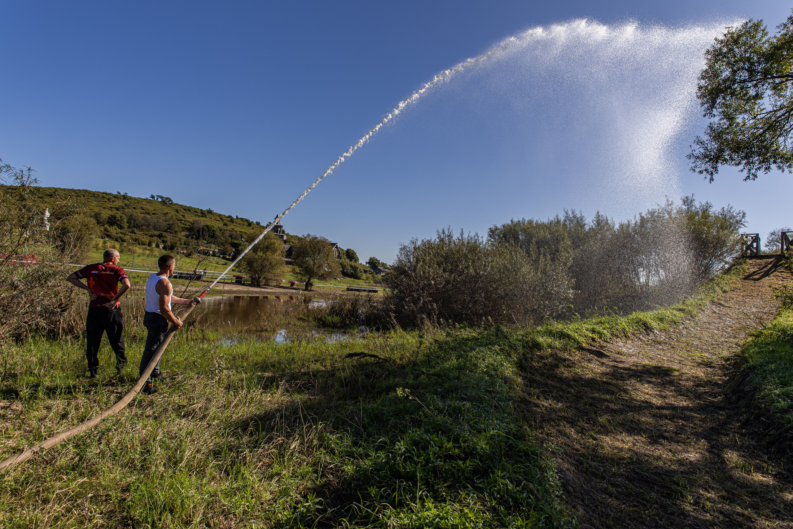 Dogtrail 2023. Уссурийск