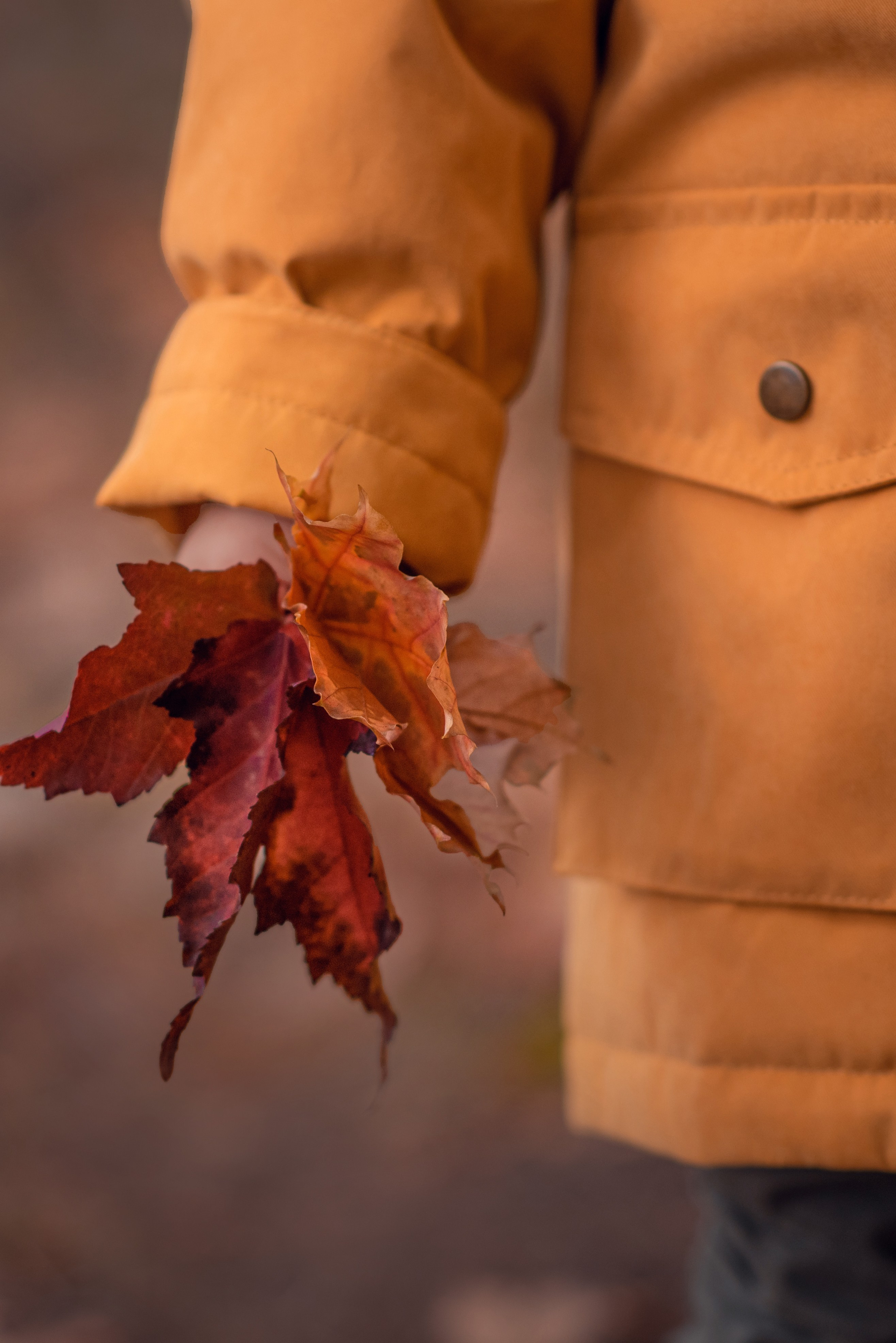 Семейная фотосессия на природе. Душевная фотография от сердца к сердцу Марина Жиделева фотограф Москва