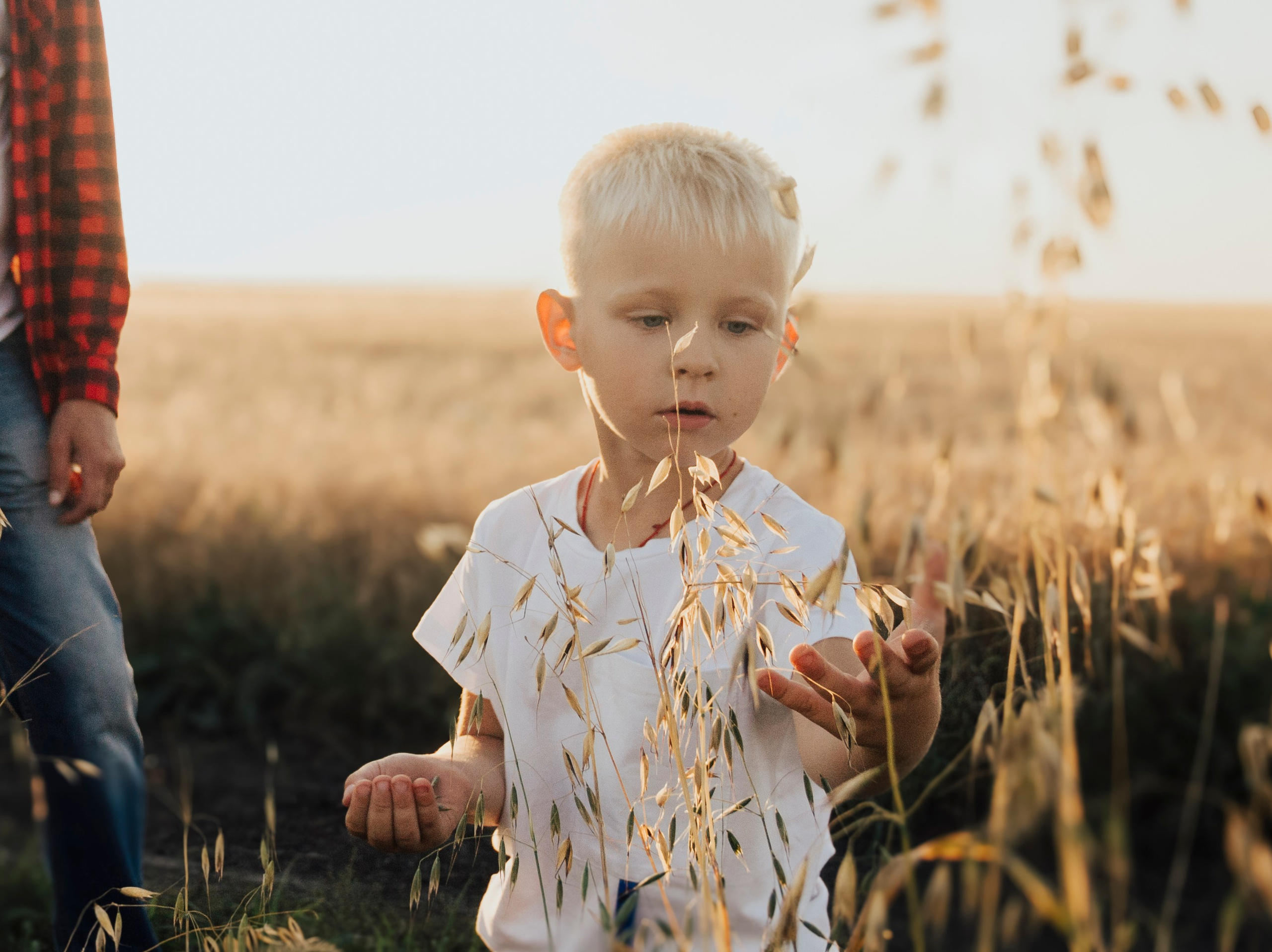 Семейная прогулка. ProFoto