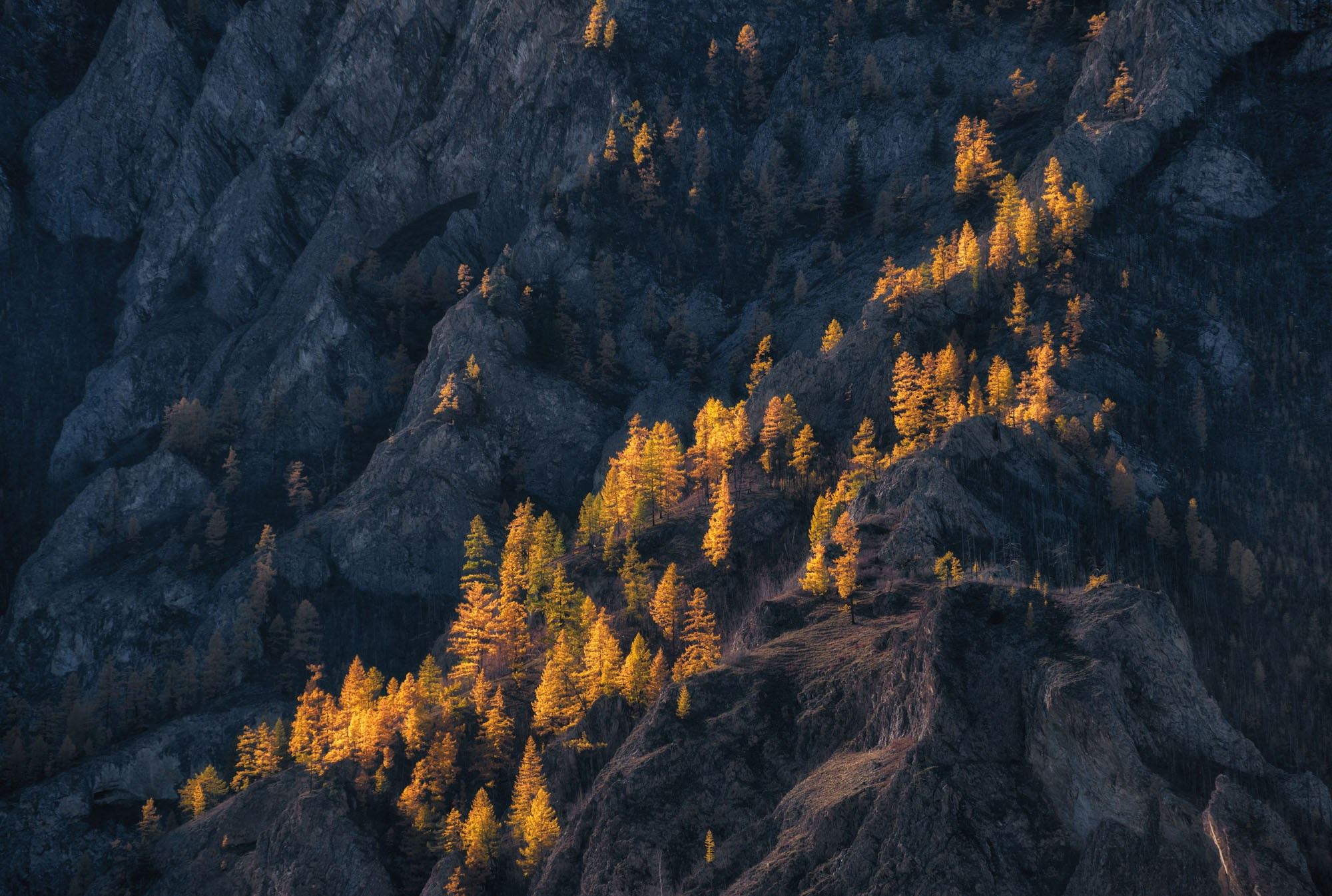 Фотографии Восточный Саян