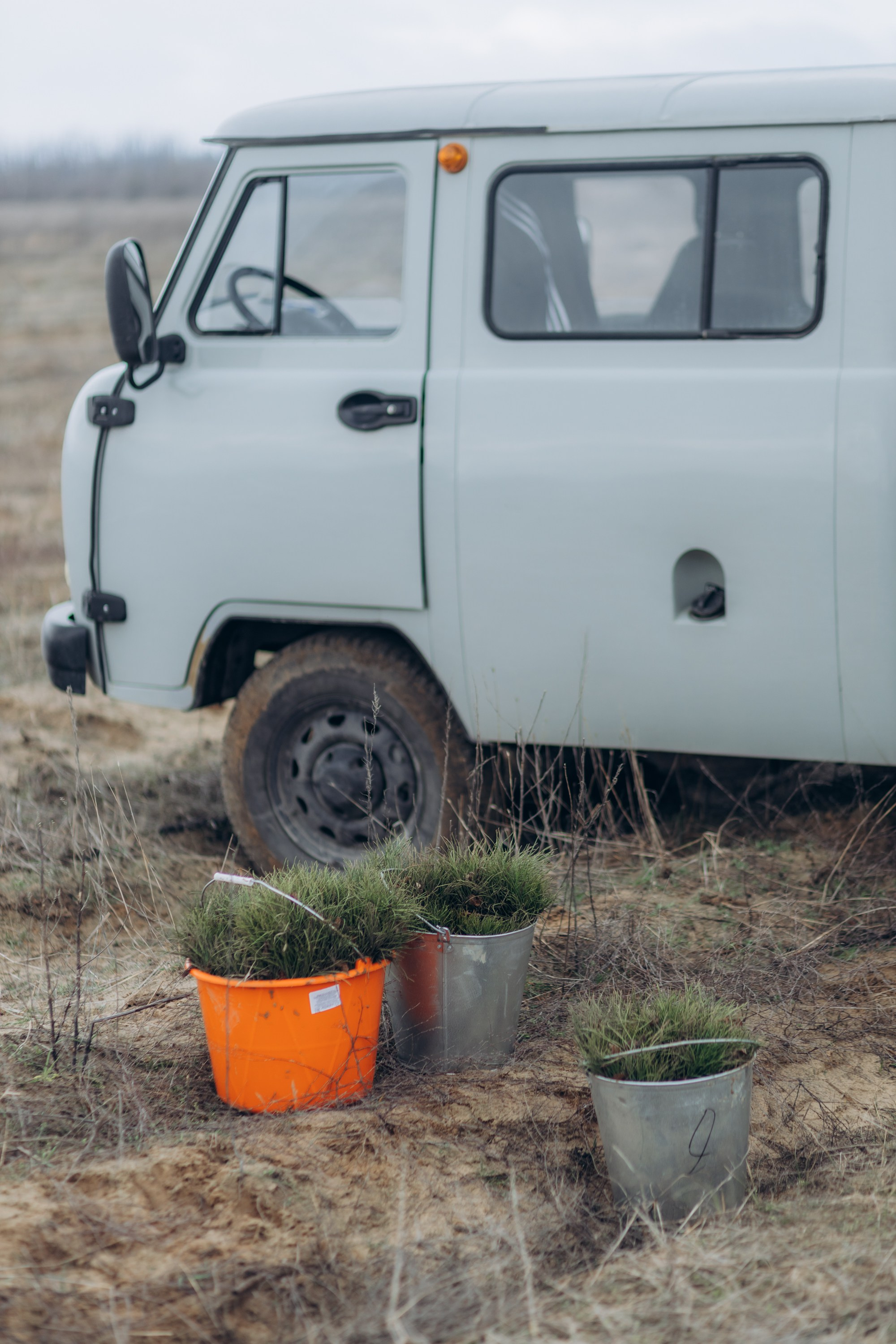 Акция «Лес будущего». Артём Панфилов — Свадебный и семейный фотограф в Ростове-на-Дону